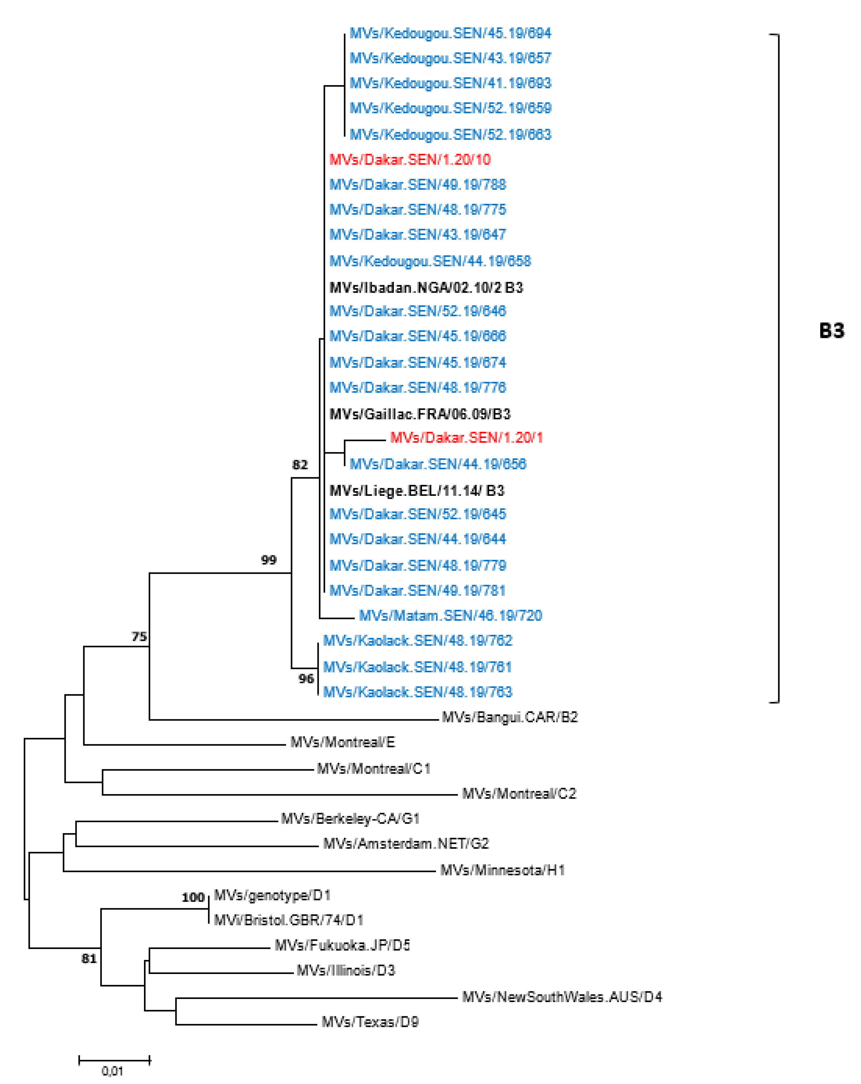 Viruses 14 02273 g004 Viruses 14 02273 g004
