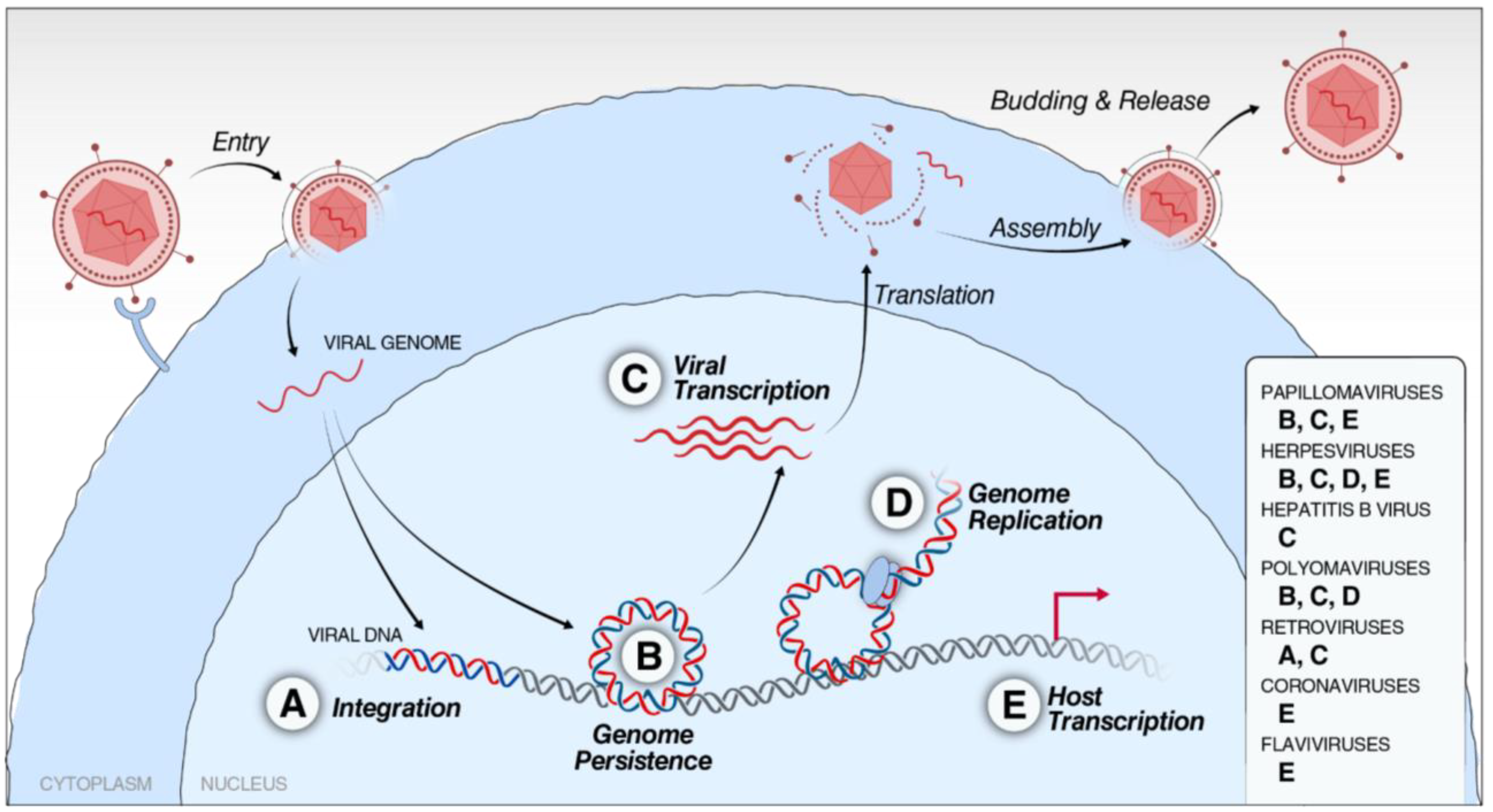 Viruses 14 02274 g002
