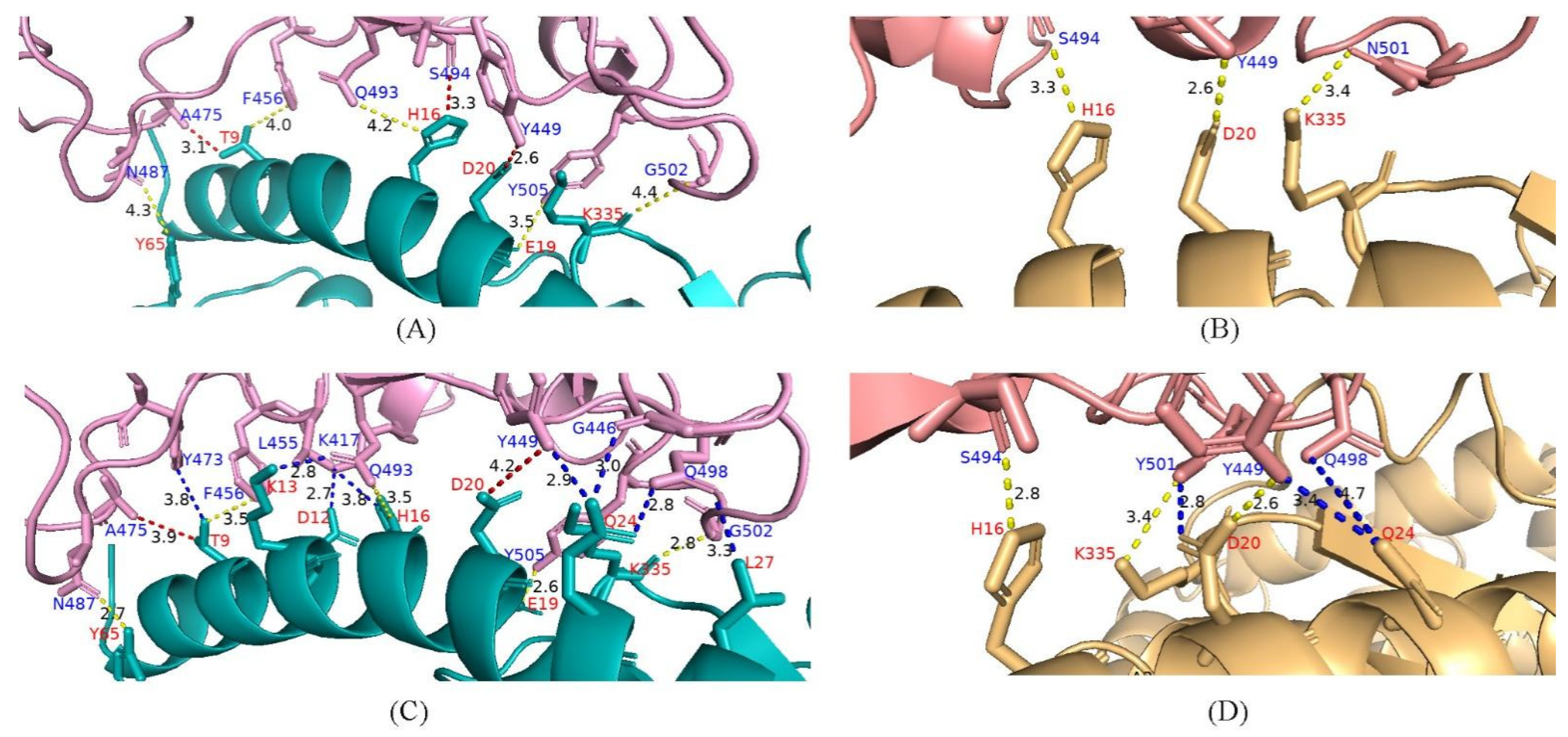 Viruses 14 02296 g006
