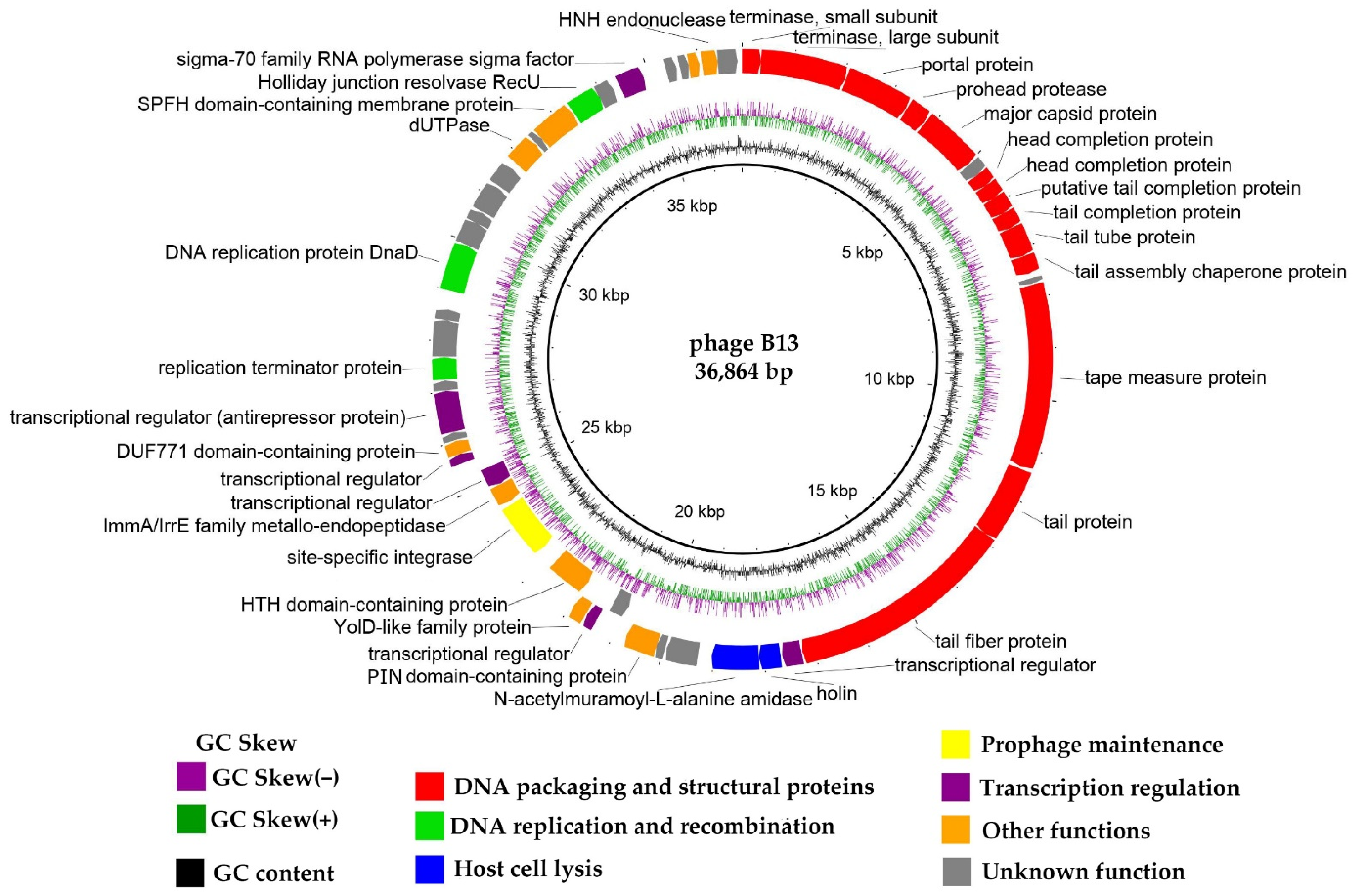 Viruses 14 02300 g004