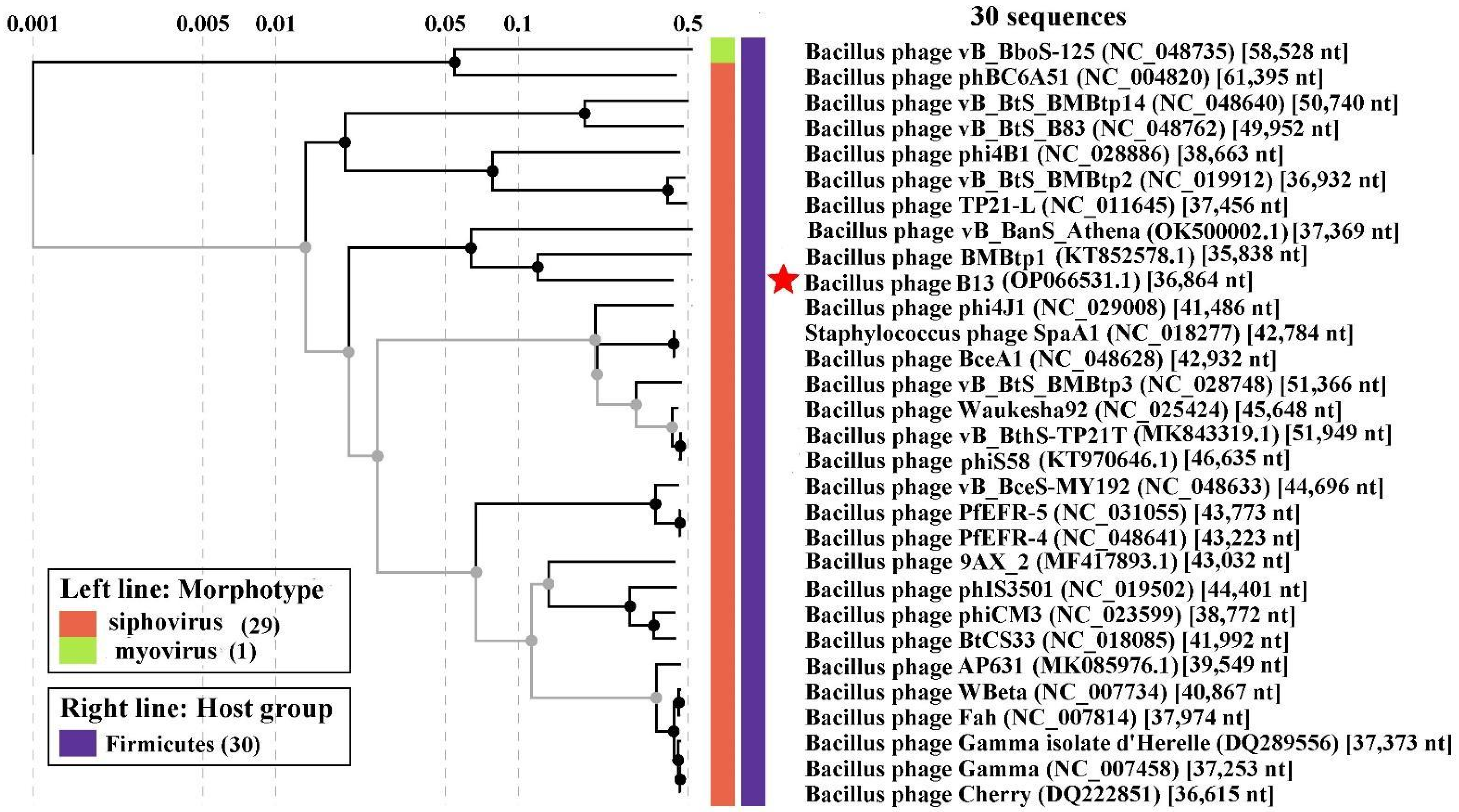 Viruses 14 02300 g007