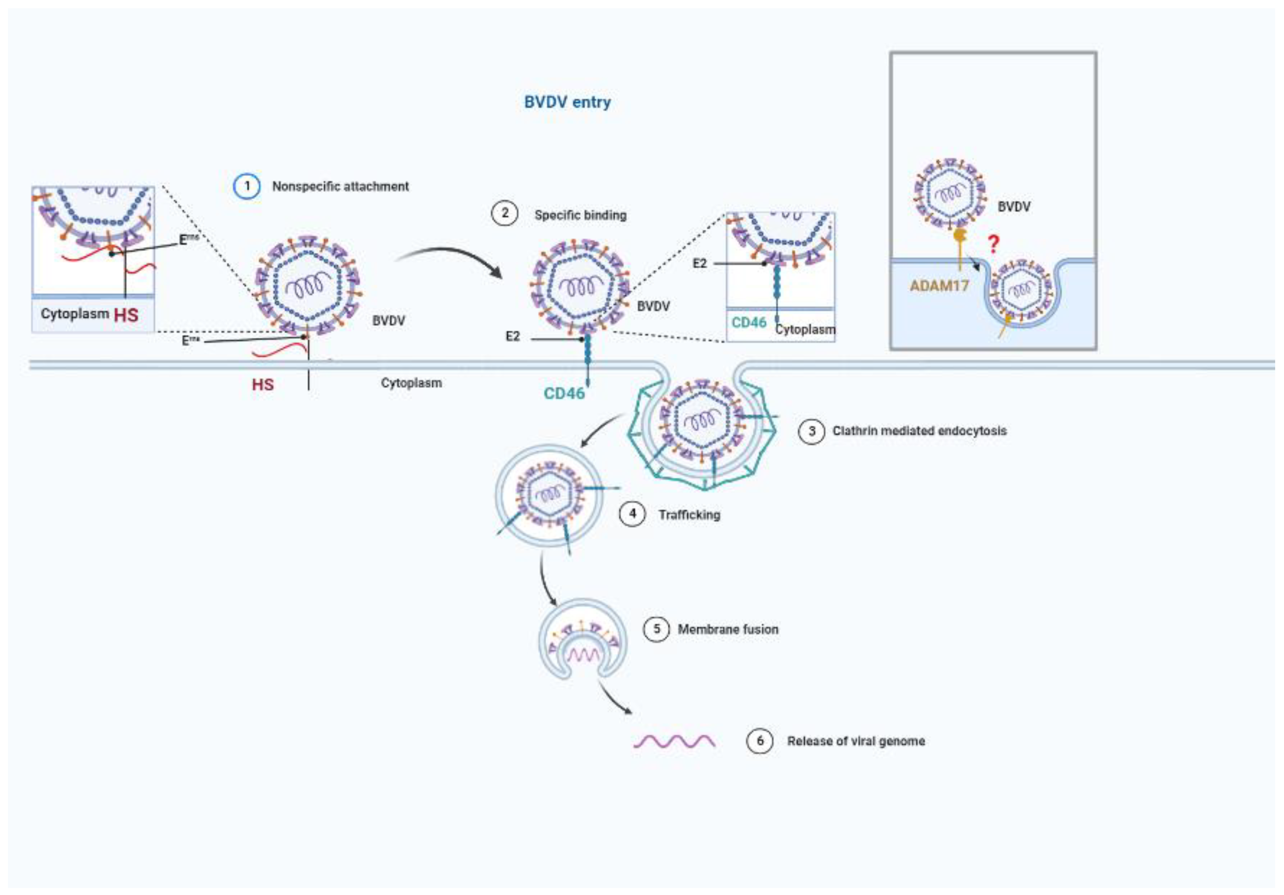 Viruses 14 02302 g003 Viruses 14 02302 g003