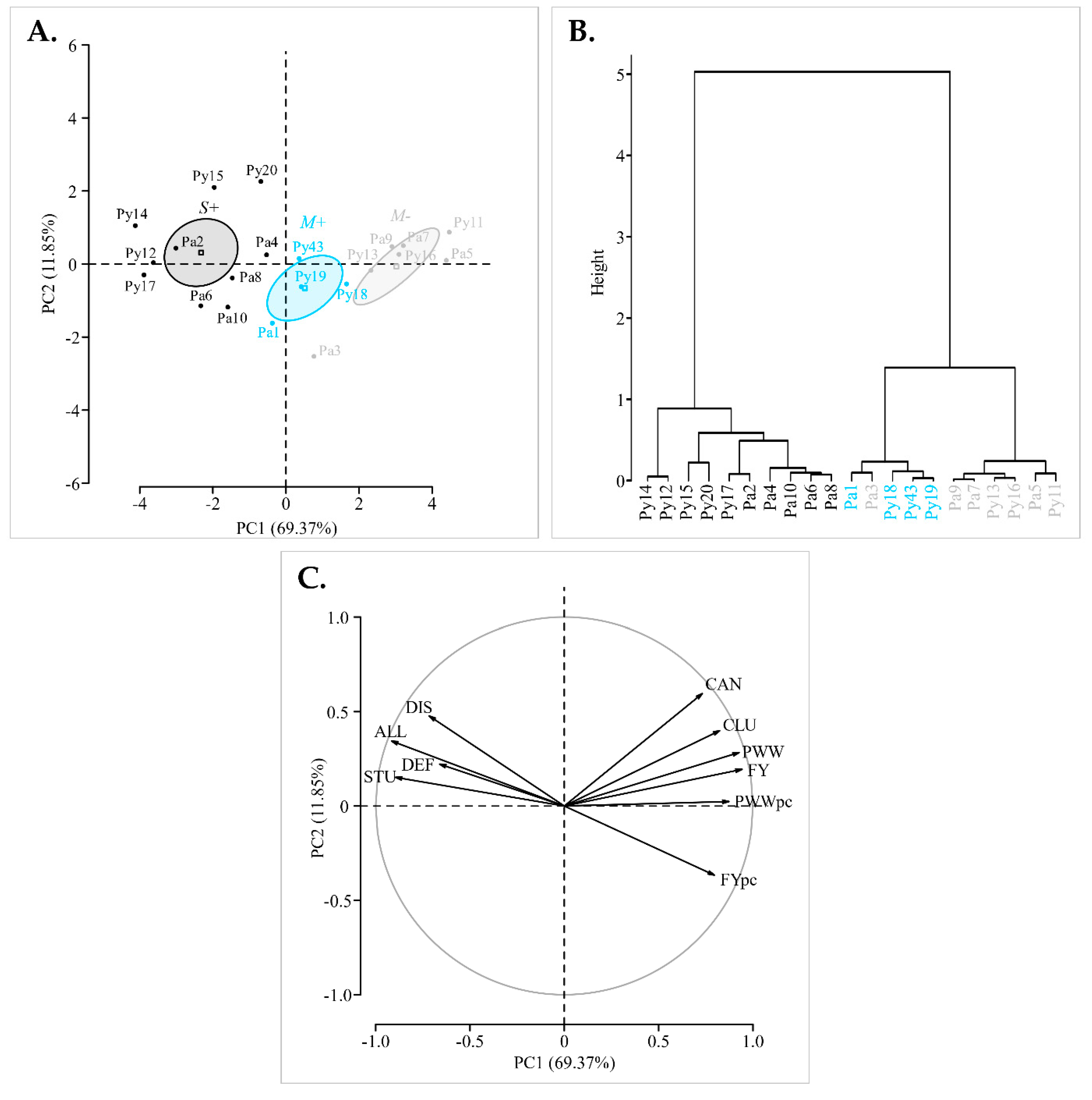 Viruses 14 02303 g002 Viruses 14 02303 g002