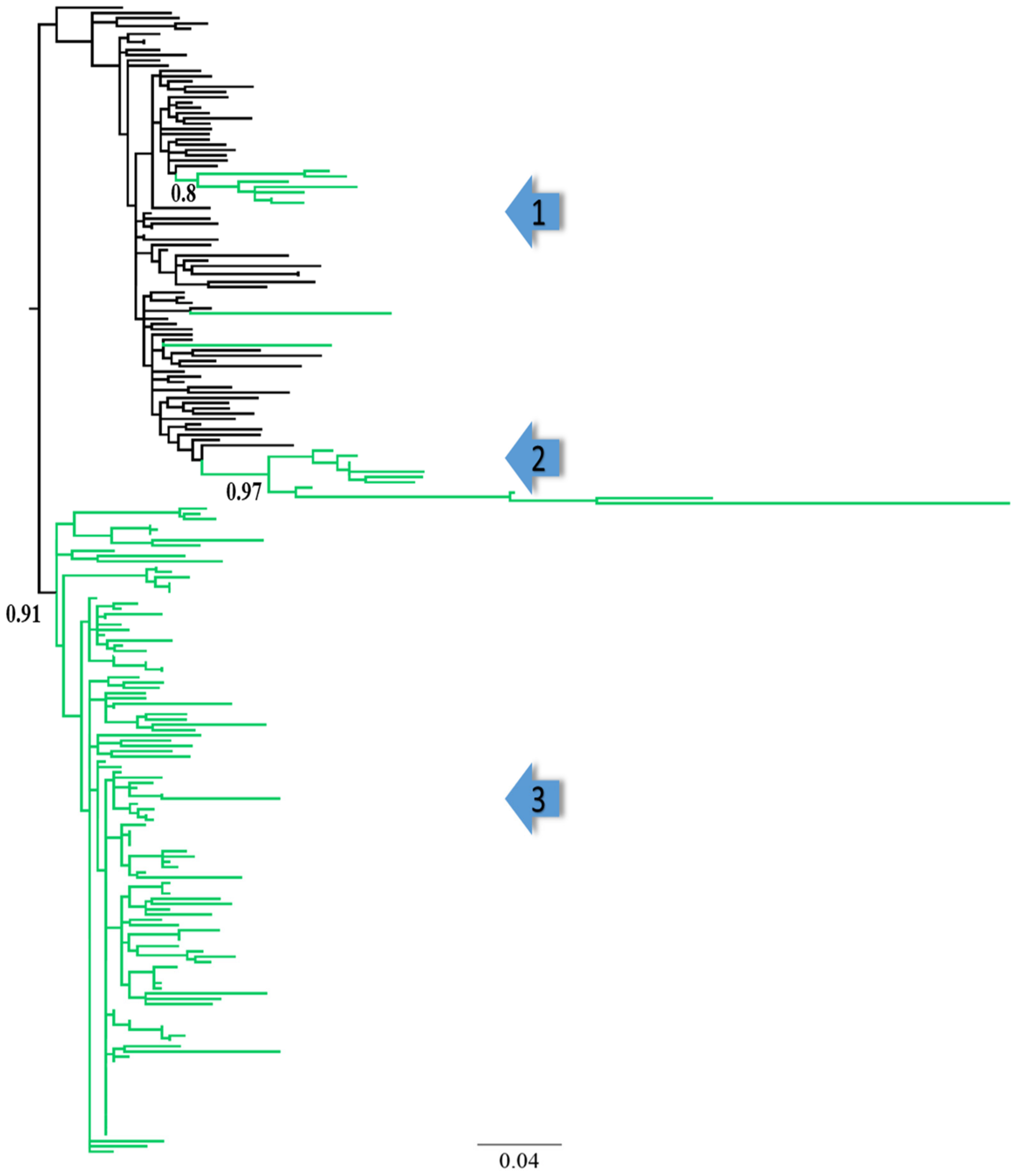 Viruses 14 02307 g001 Viruses 14 02307 g001