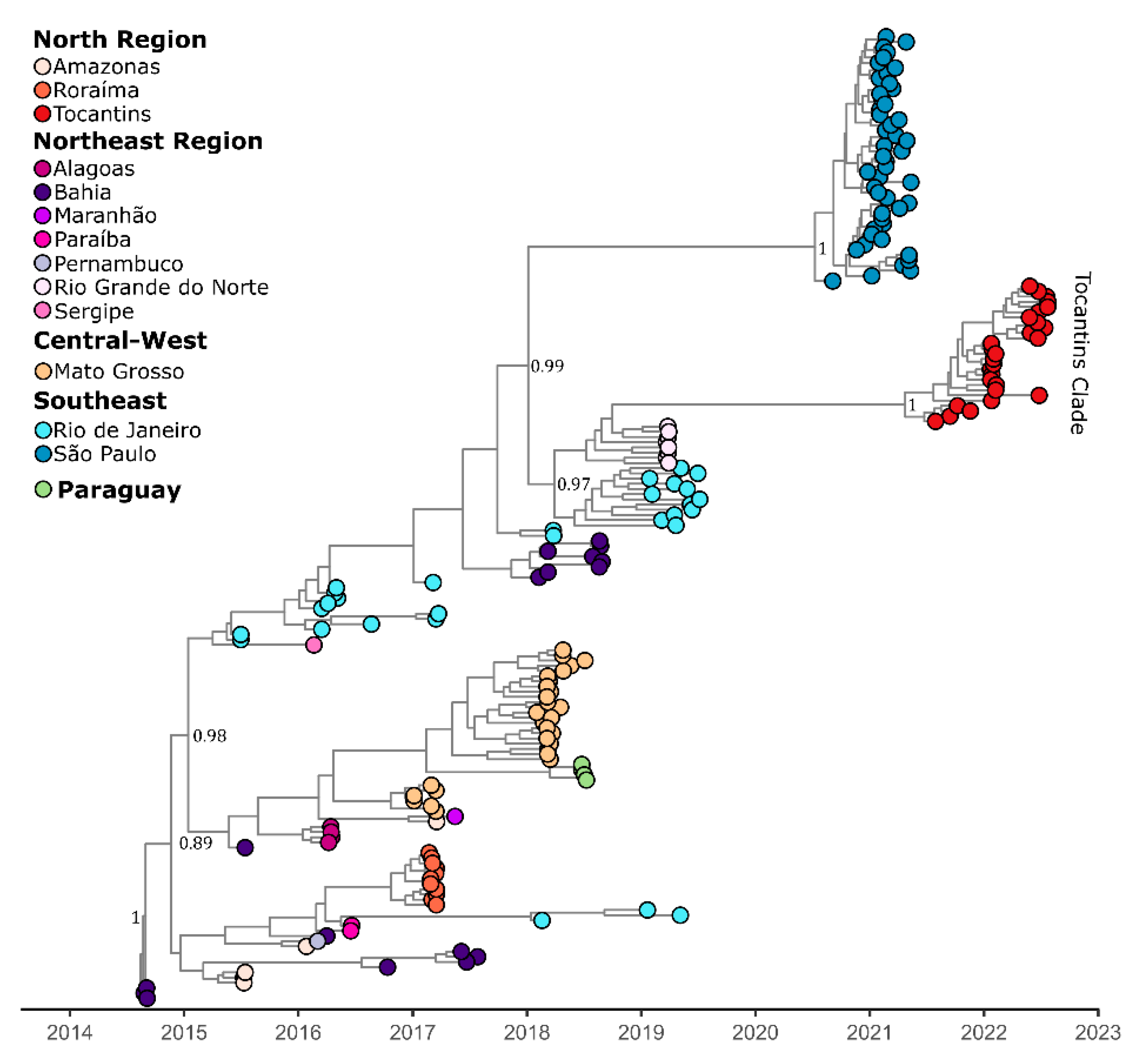 Viruses 14 02311 g002 Viruses 14 02311 g002