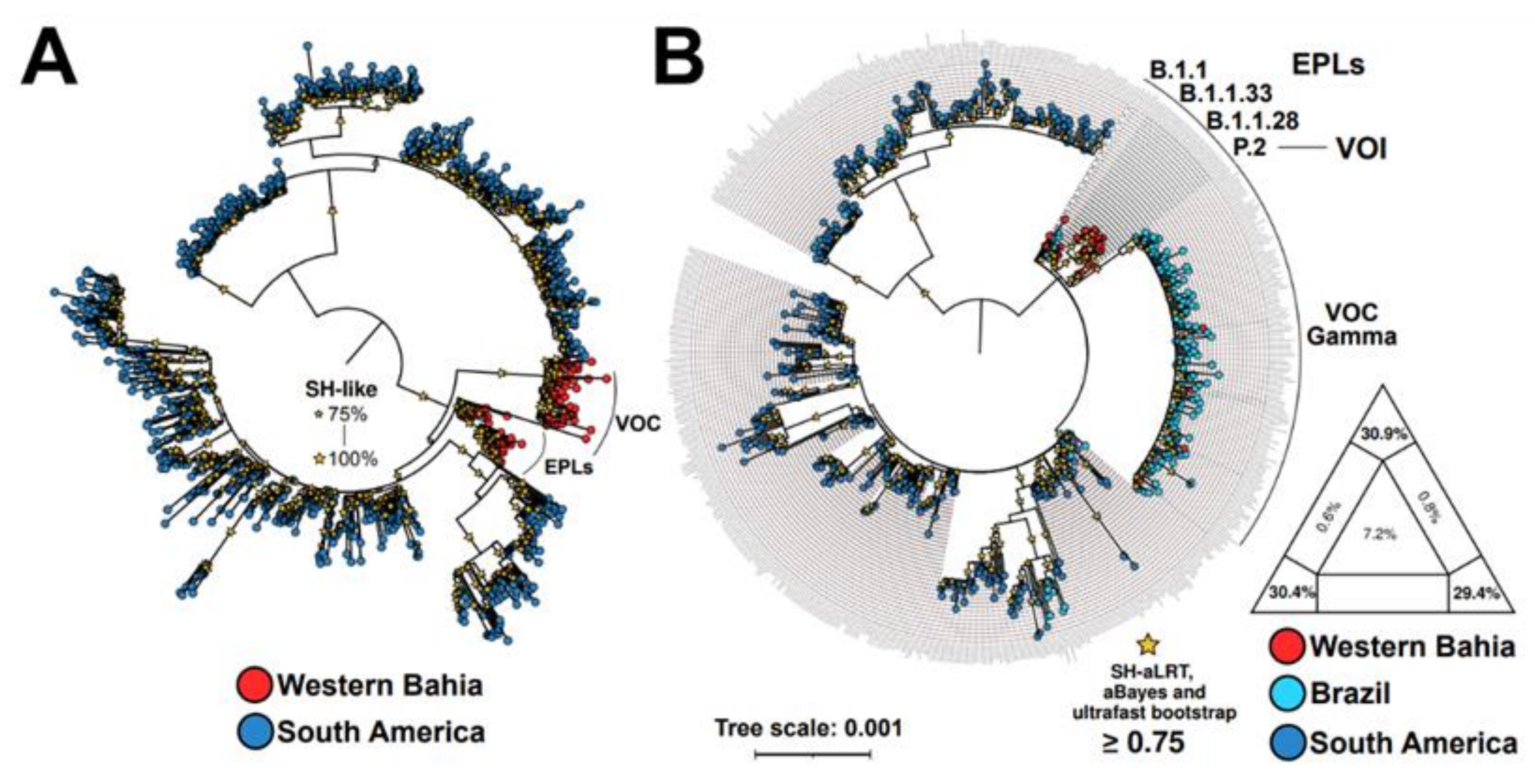 Viruses 14 02314 g005 Viruses 14 02314 g005