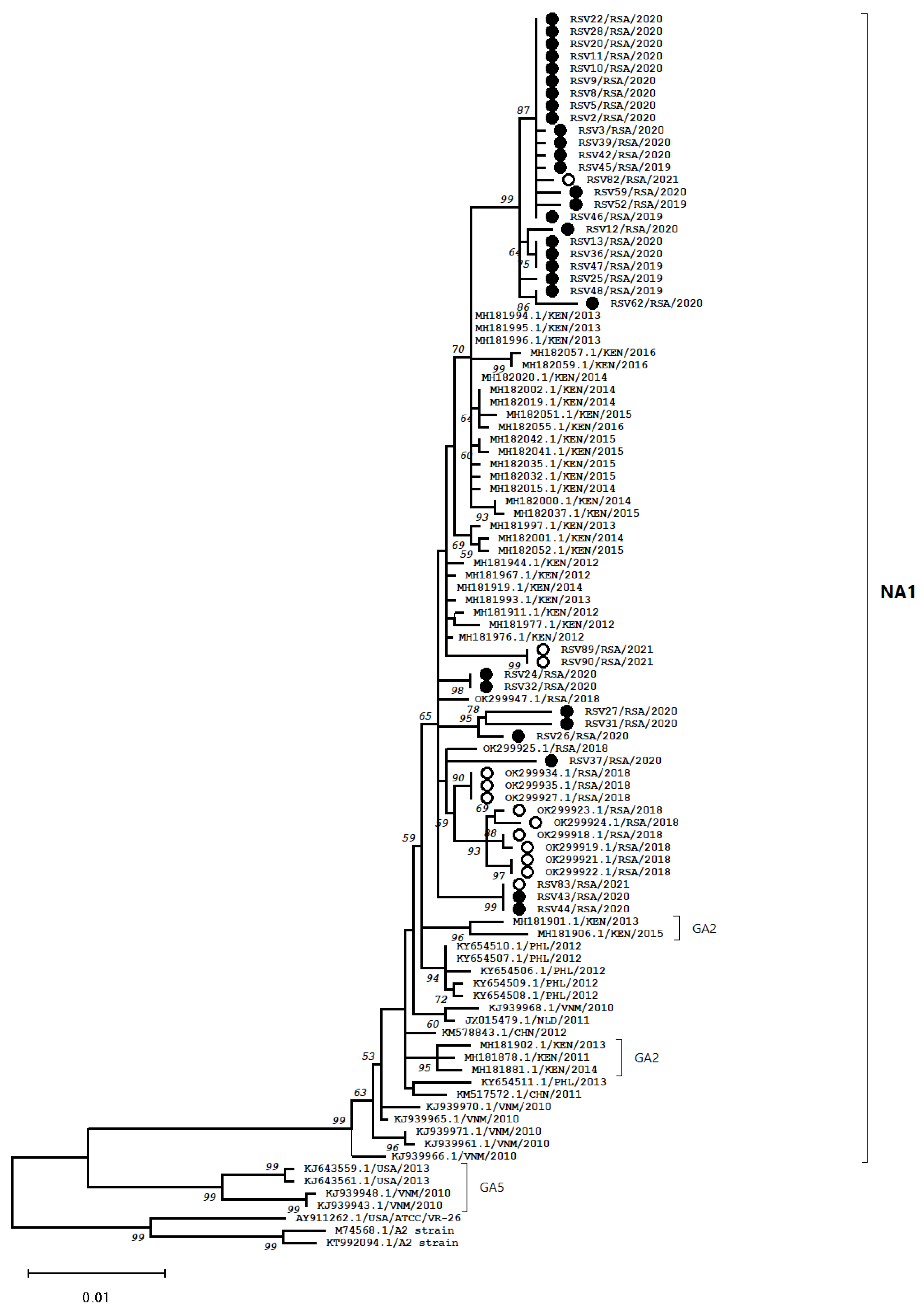 Viruses 14 02321 g001 Viruses 14 02321 g001