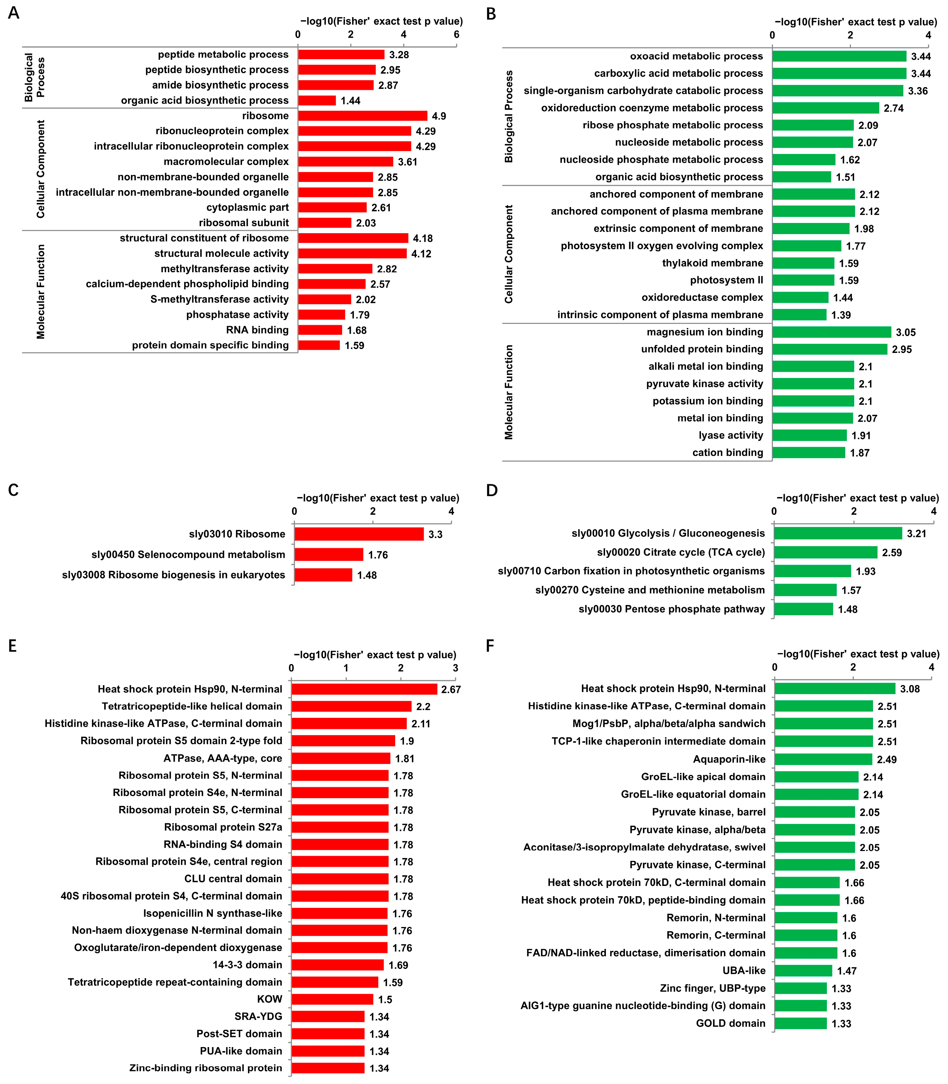 Viruses 14 02349 g004