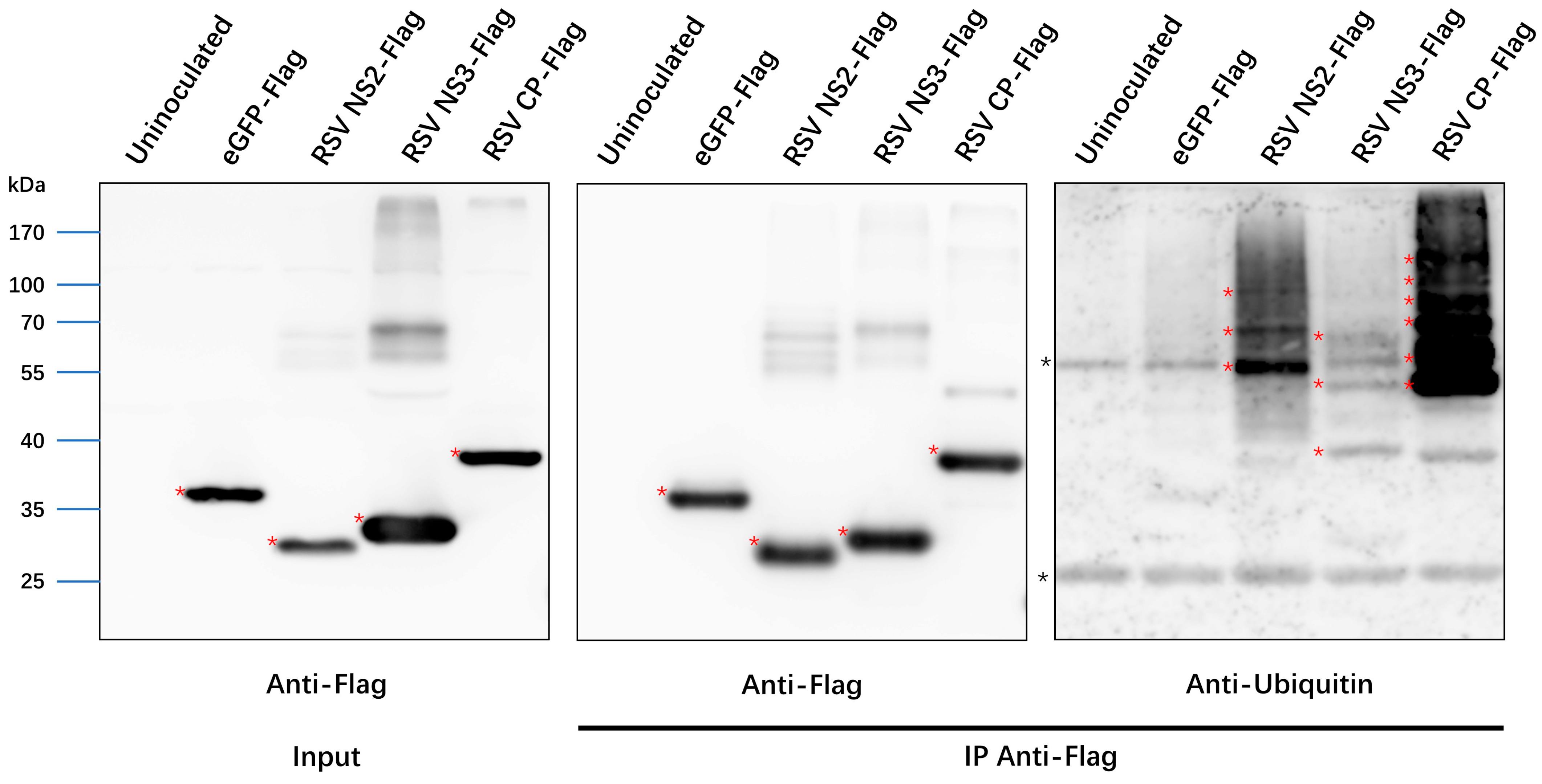 Viruses 14 02349 g006