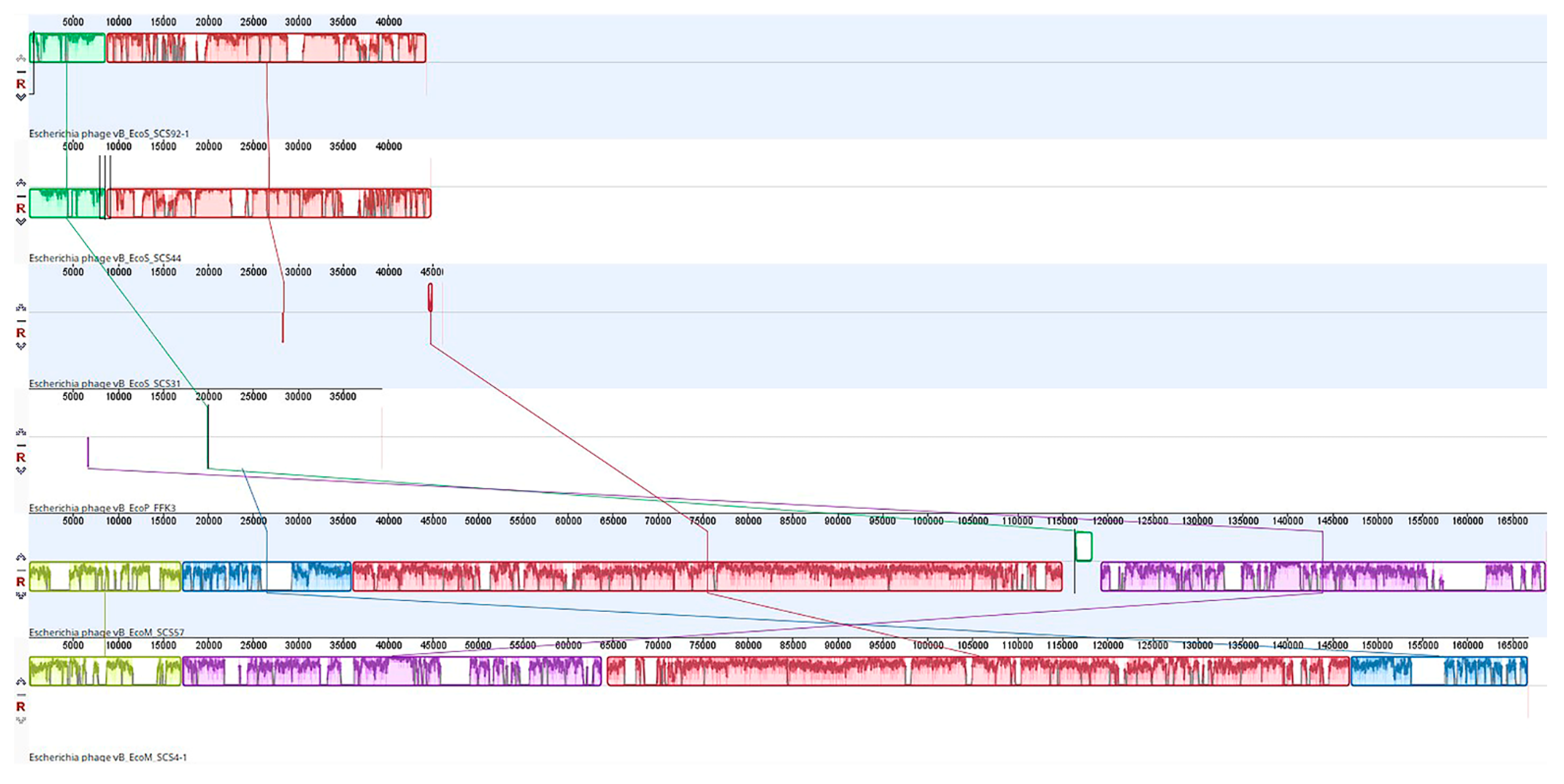 Viruses 14 02381 g005