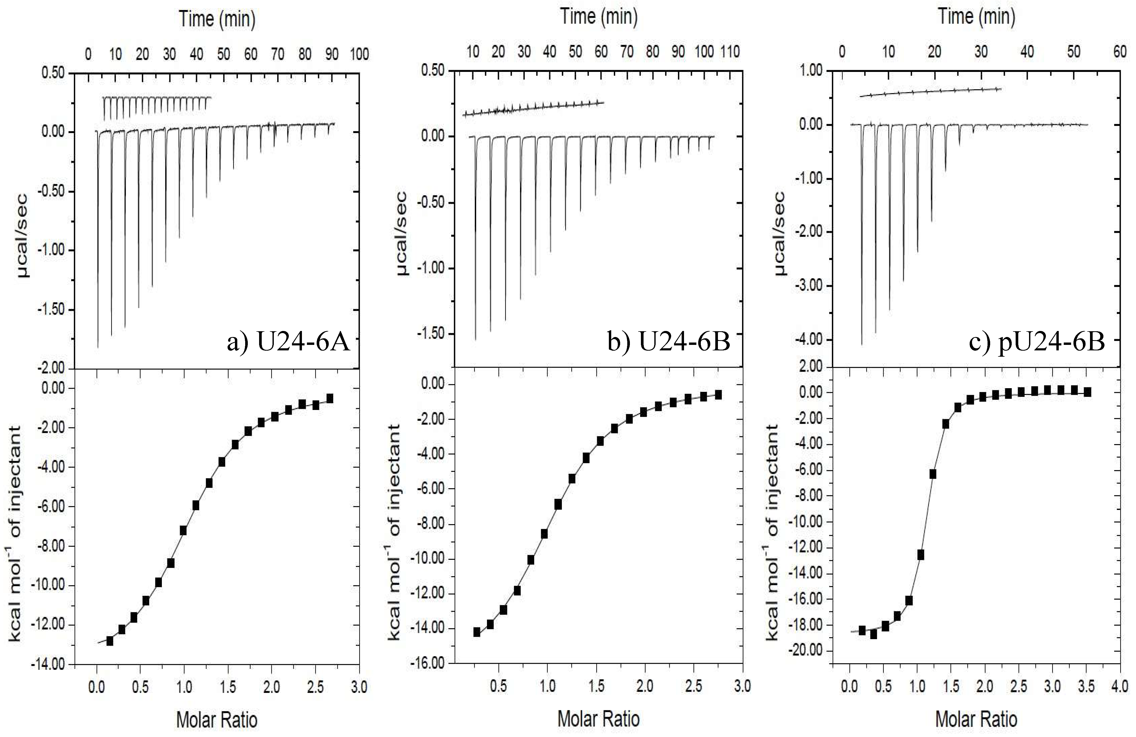 Viruses 14 02384 g001 Viruses 14 02384 g001