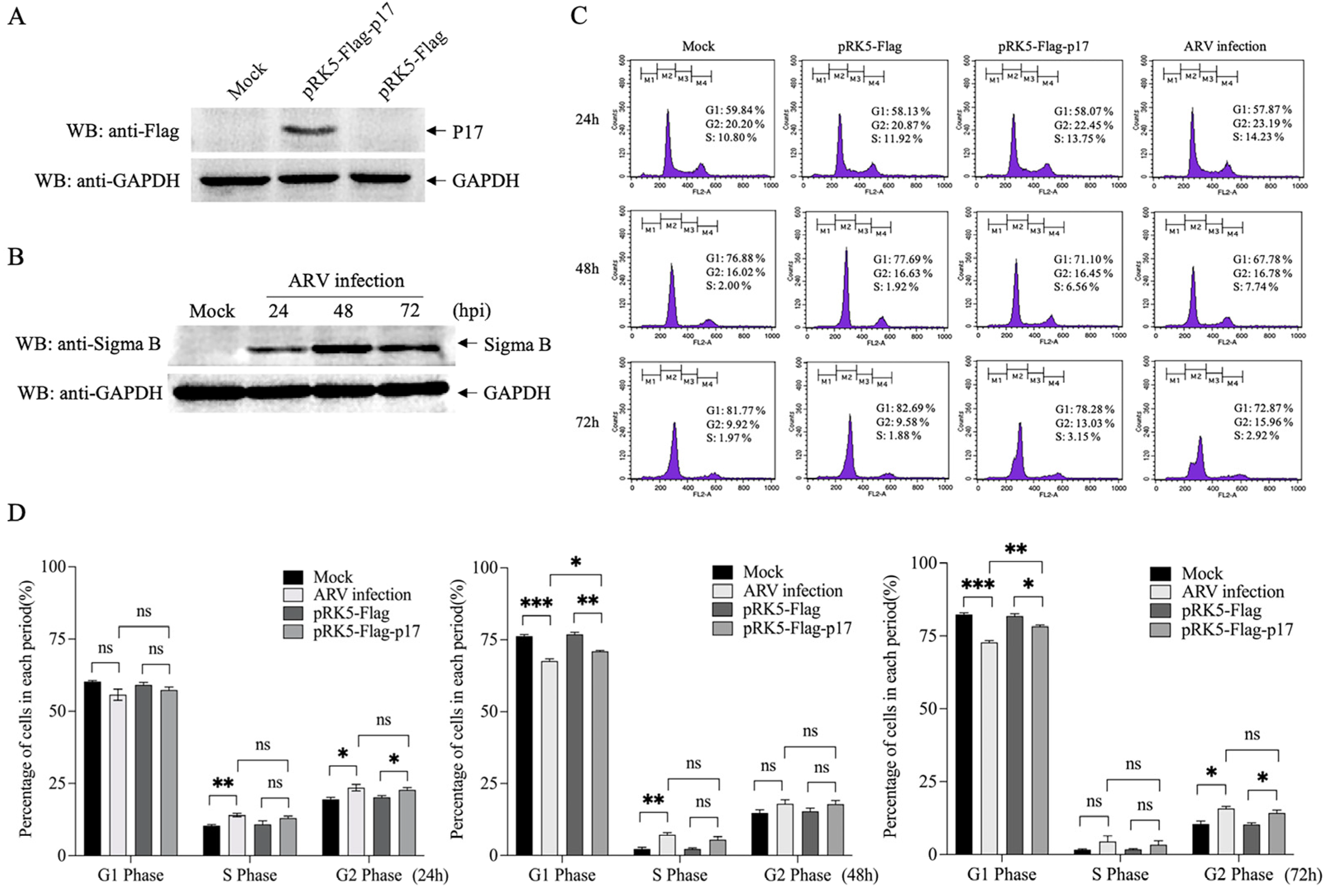 Viruses 14 02385 g001 Viruses 14 02385 g001