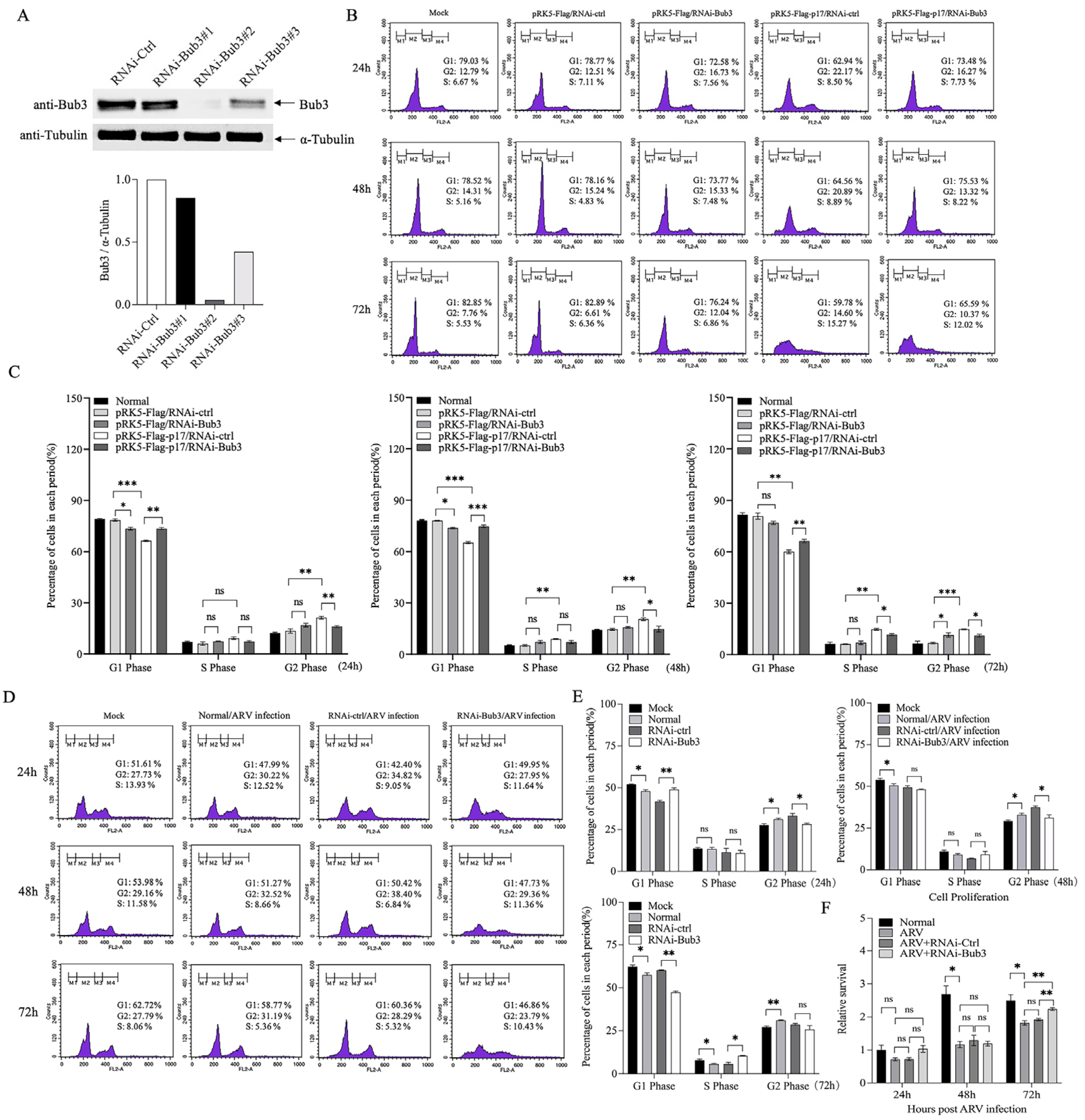 Viruses 14 02385 g004 Viruses 14 02385 g004