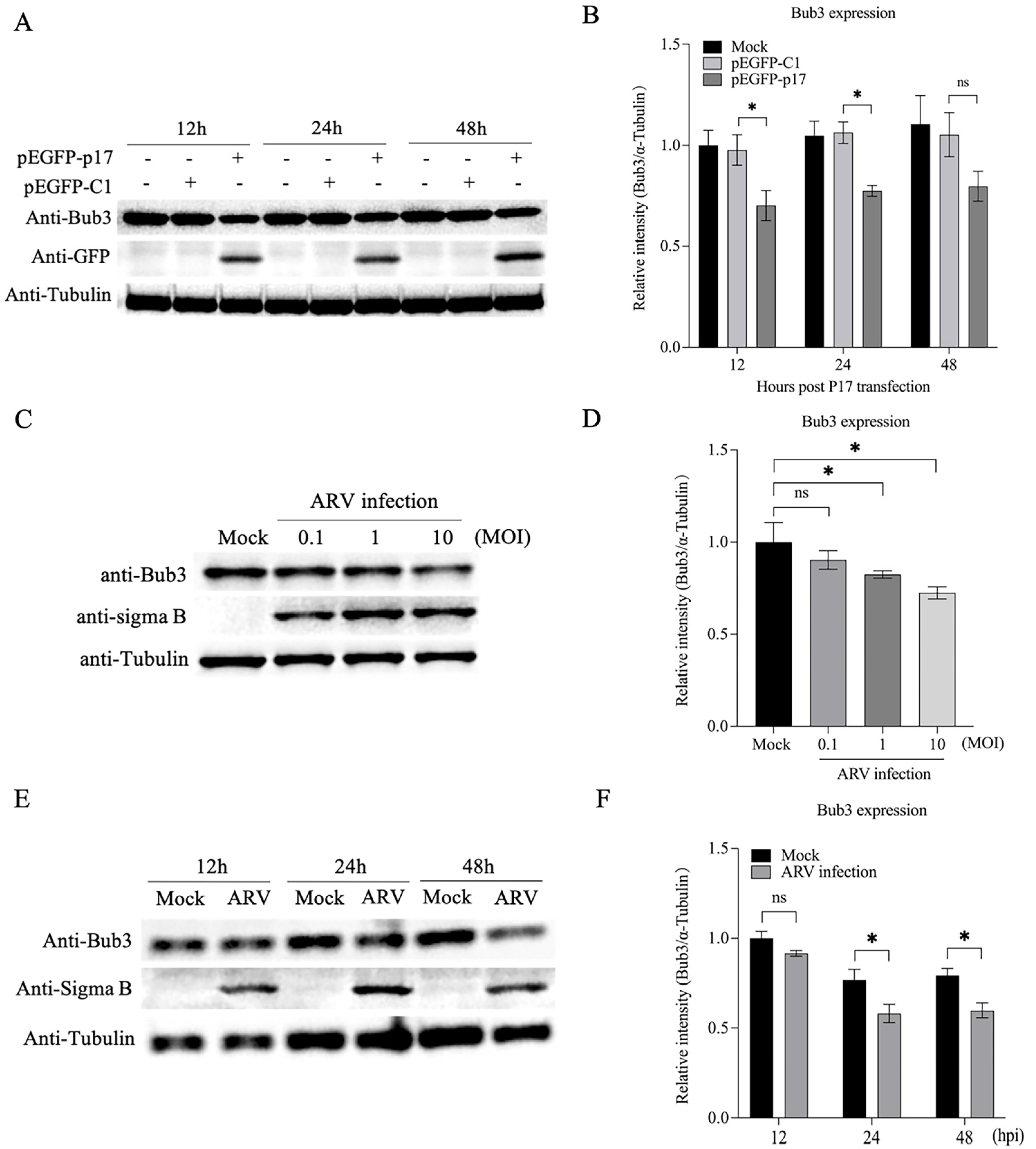 Viruses 14 02385 g005 Viruses 14 02385 g005