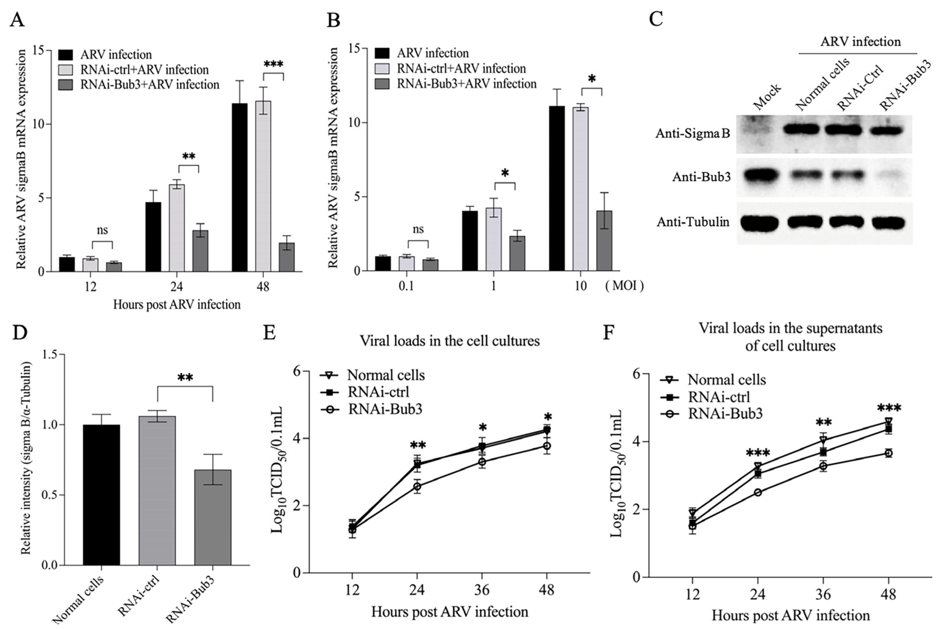 Viruses 14 02385 g006 Viruses 14 02385 g006