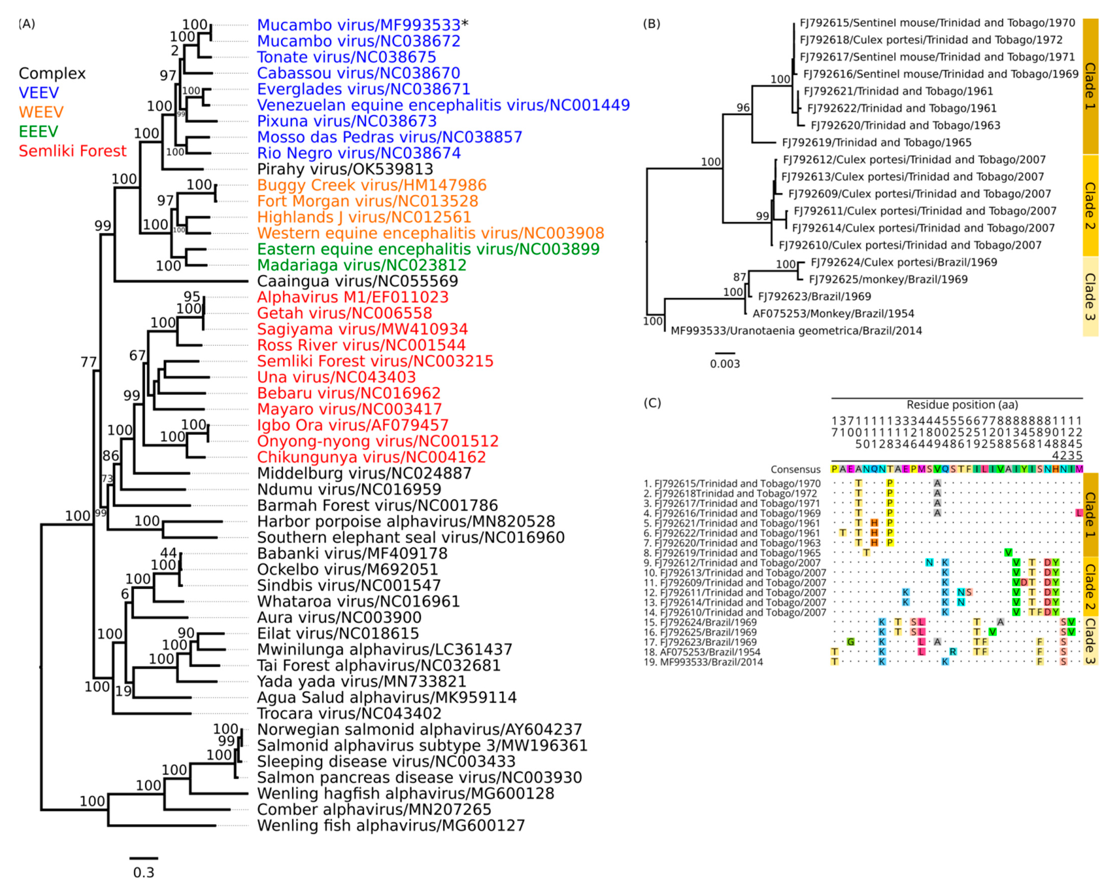 Viruses 14 02391 g003