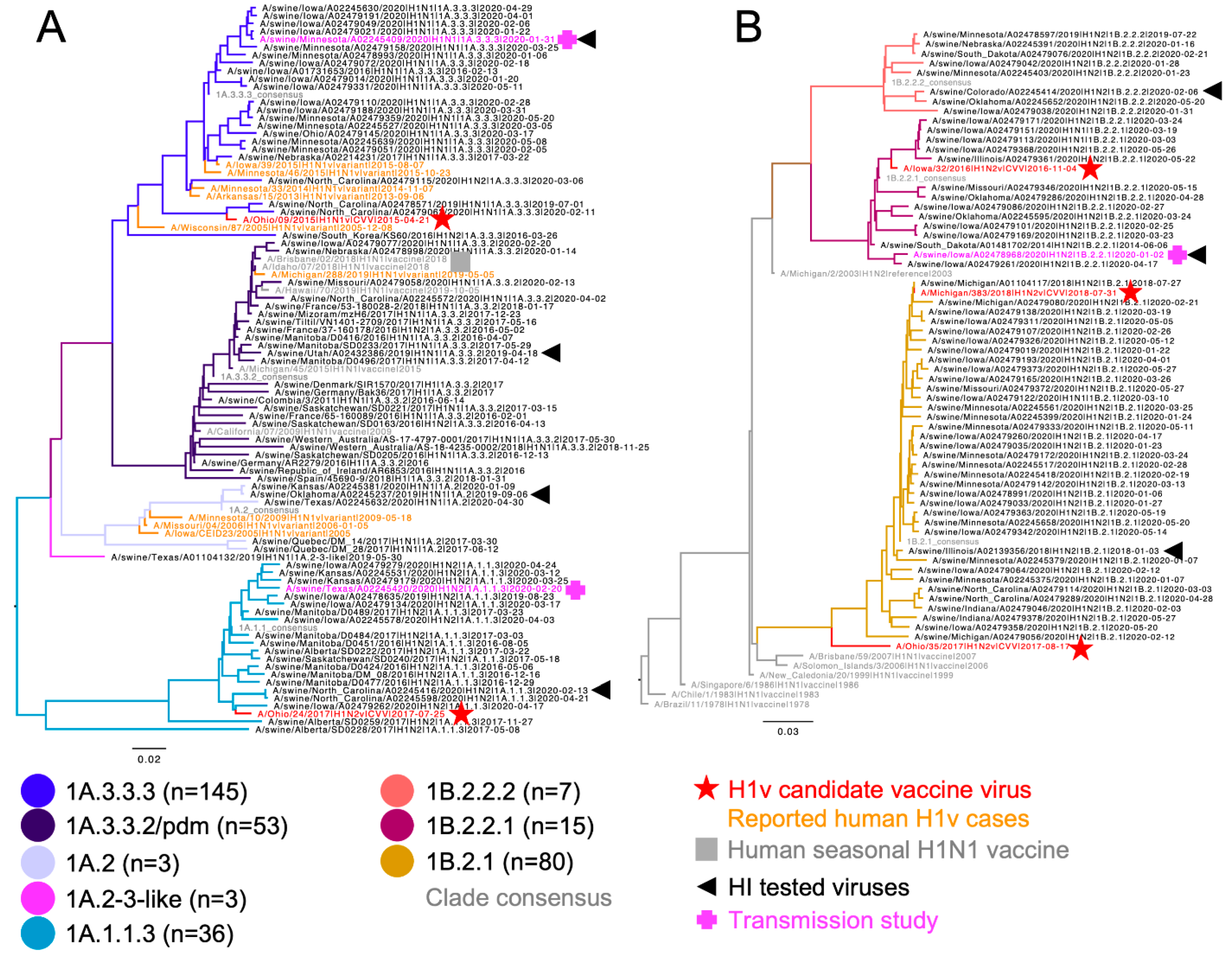 Viruses 14 02398 g001 Viruses 14 02398 g001