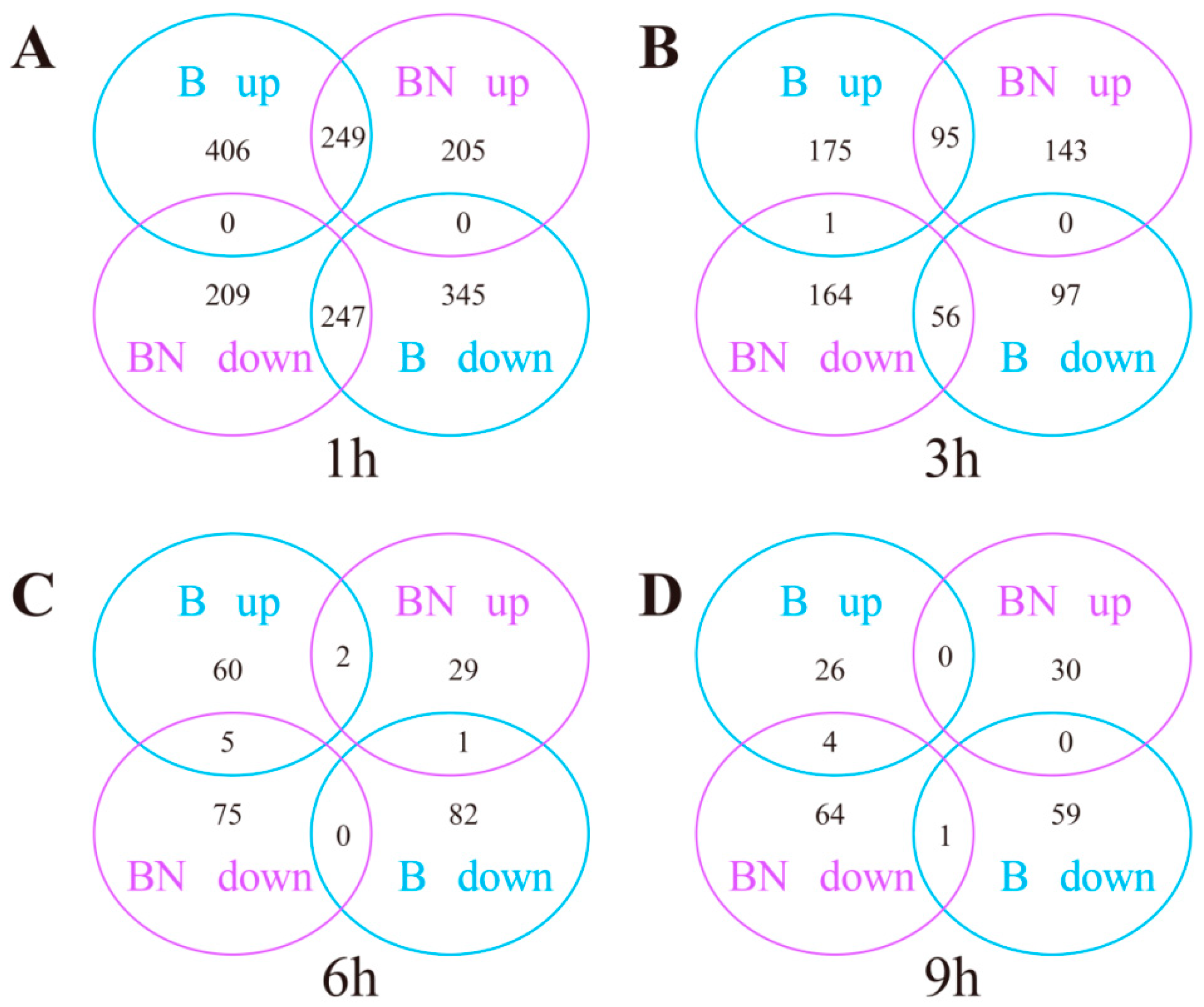 Viruses 14 02405 g001
