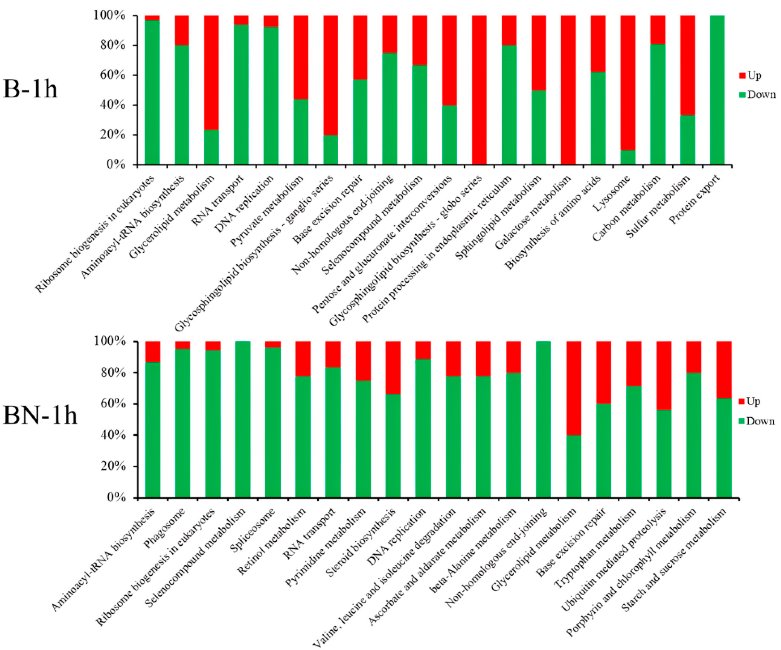 Viruses 14 02405 g005