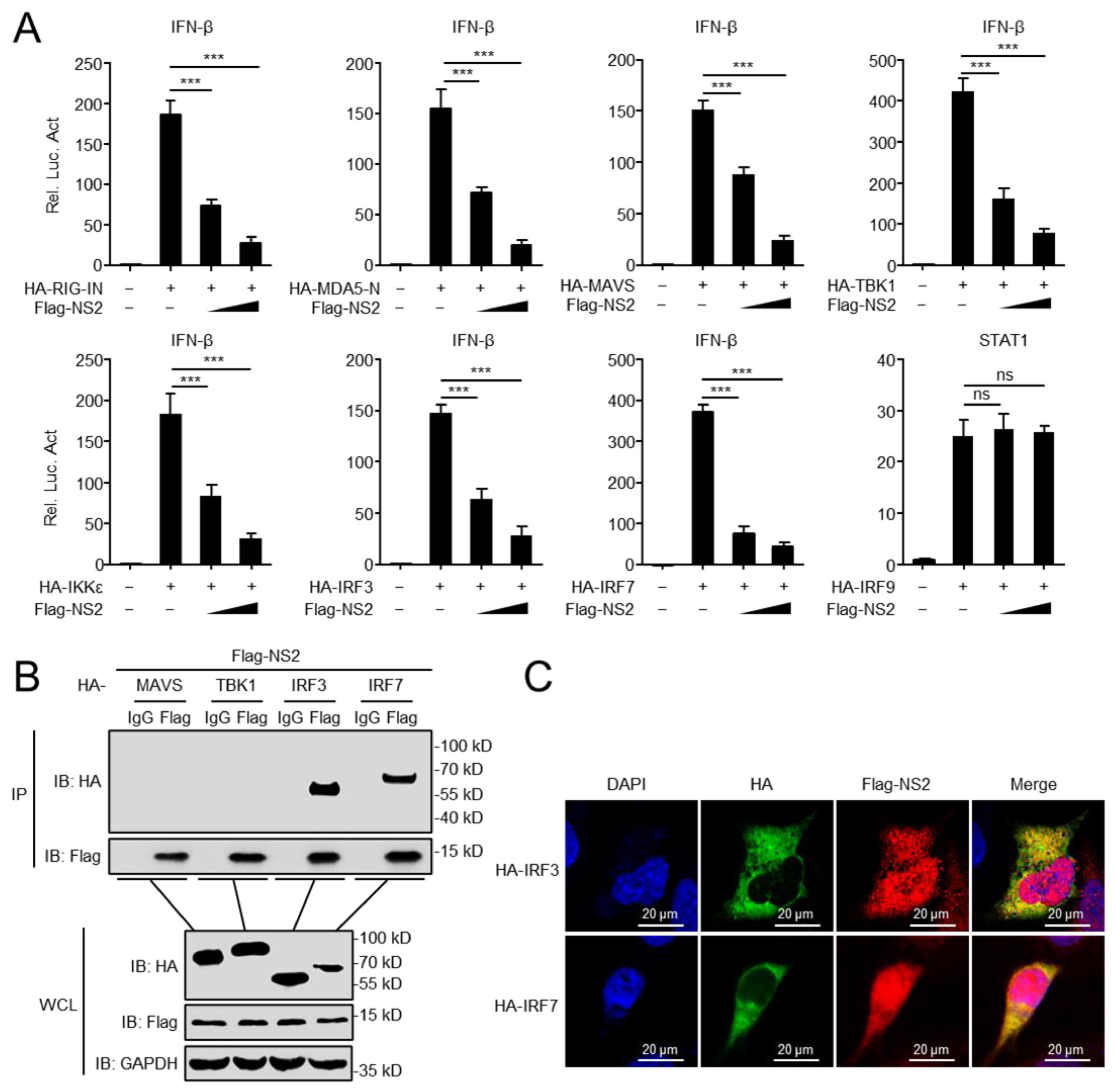 Viruses 14 02411 g002 Viruses 14 02411 g002