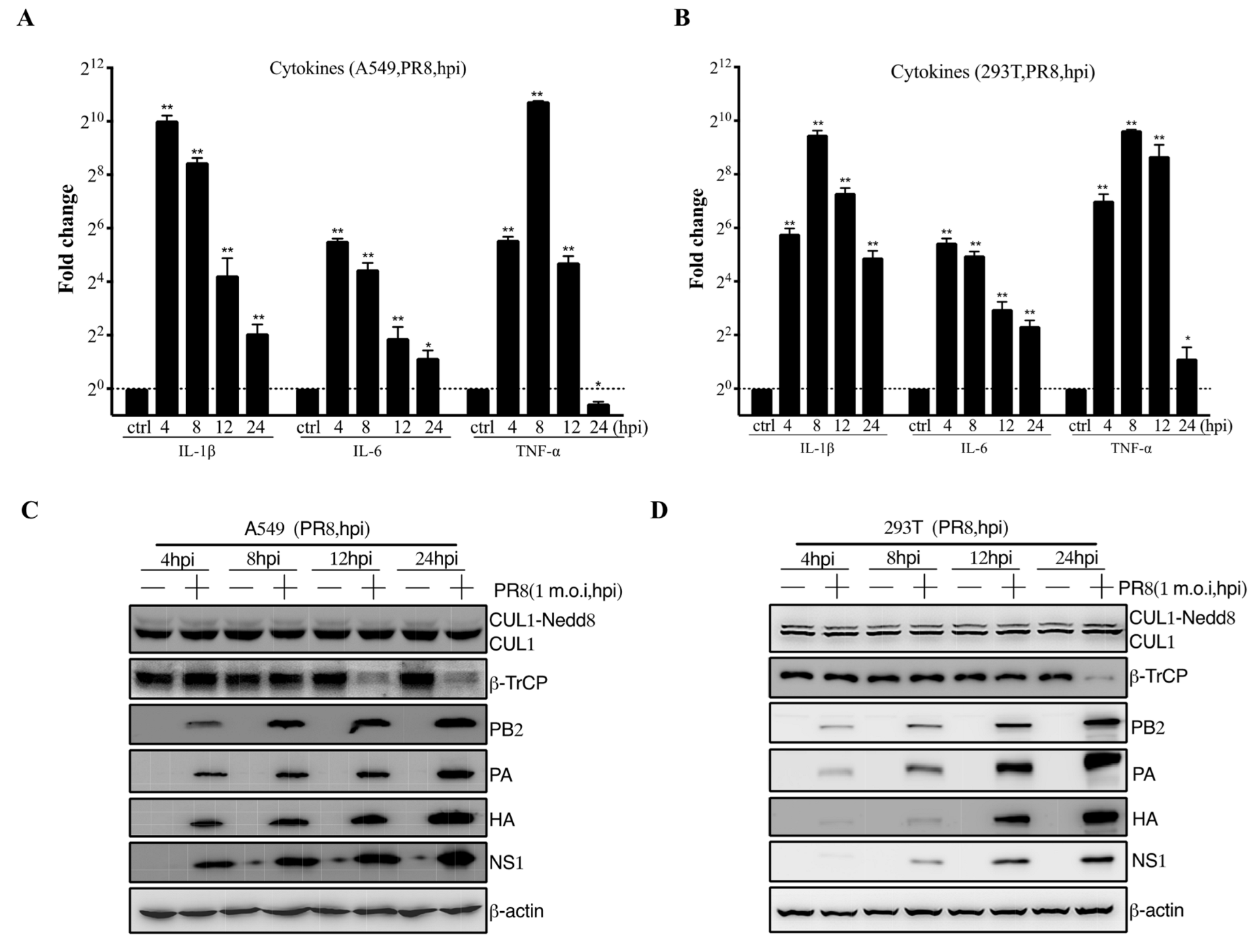 Viruses 14 02426 g001 Viruses 14 02426 g001