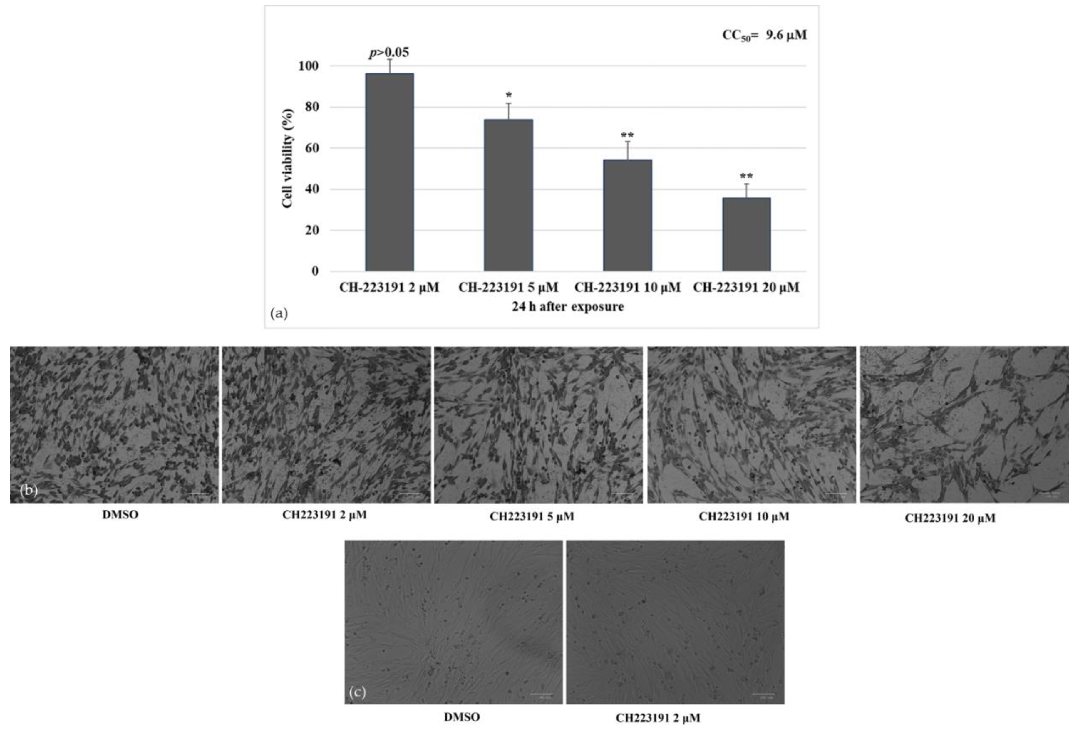 Viruses 14 02437 g001