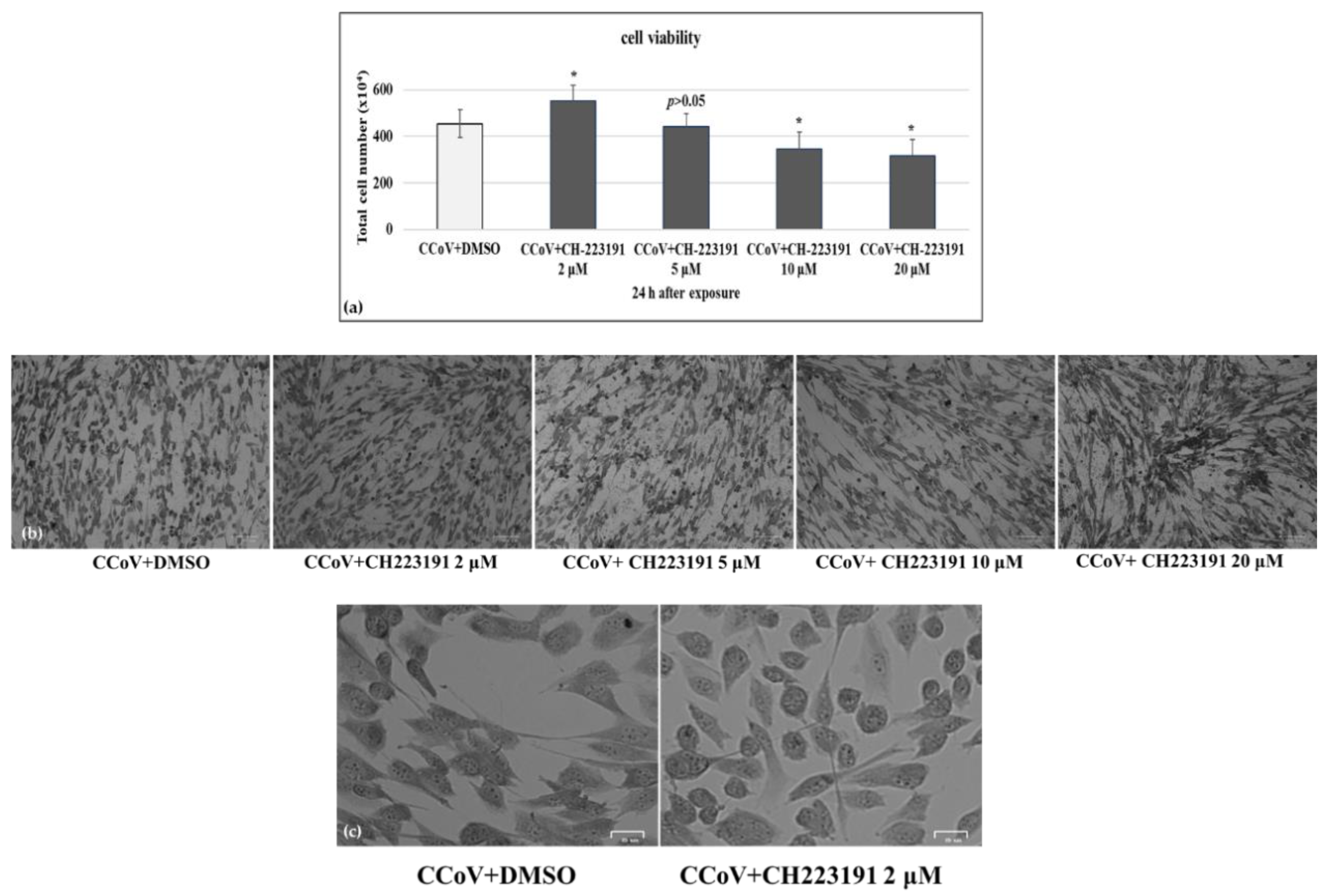 Viruses 14 02437 g002