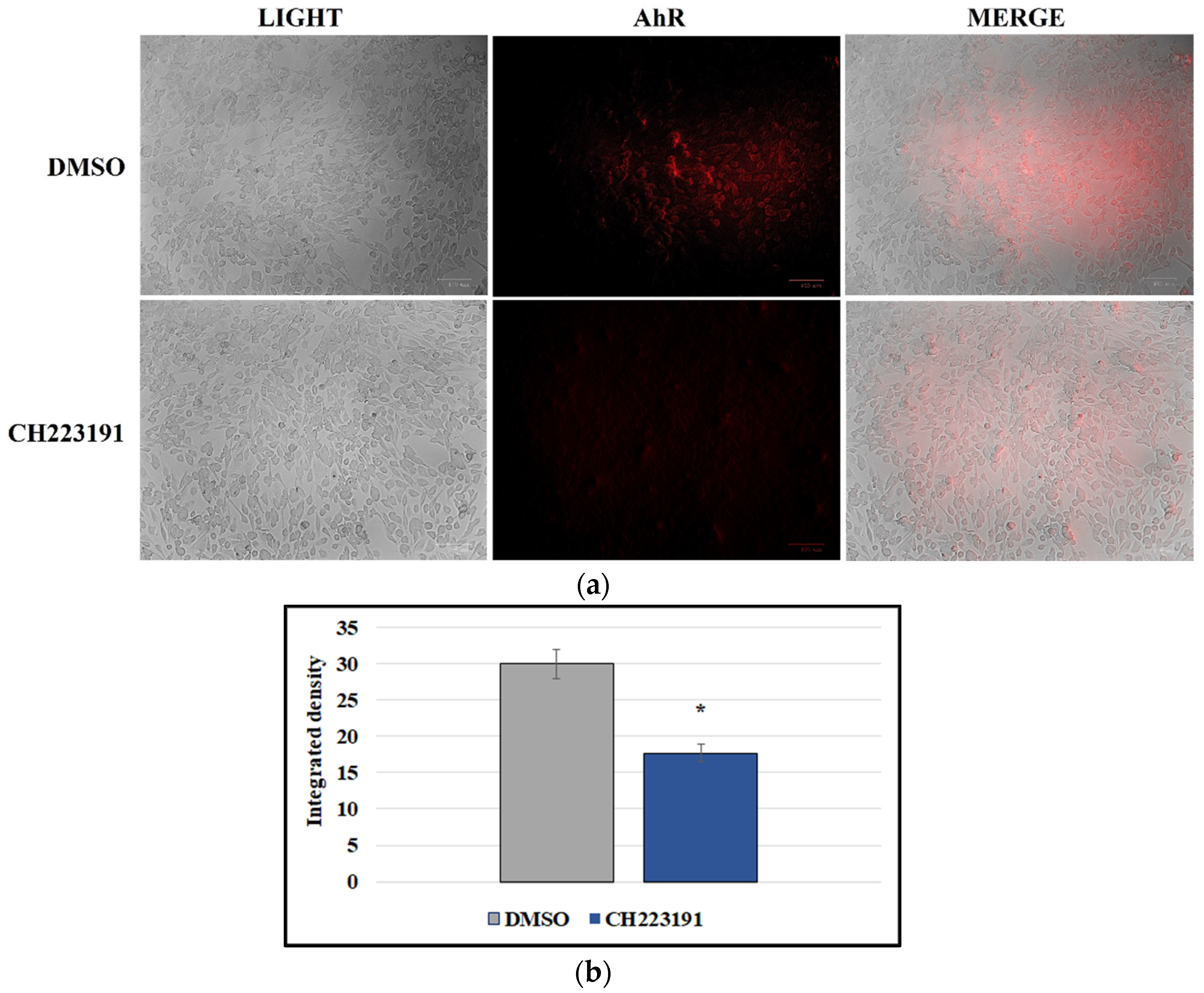 Viruses 14 02437 g004