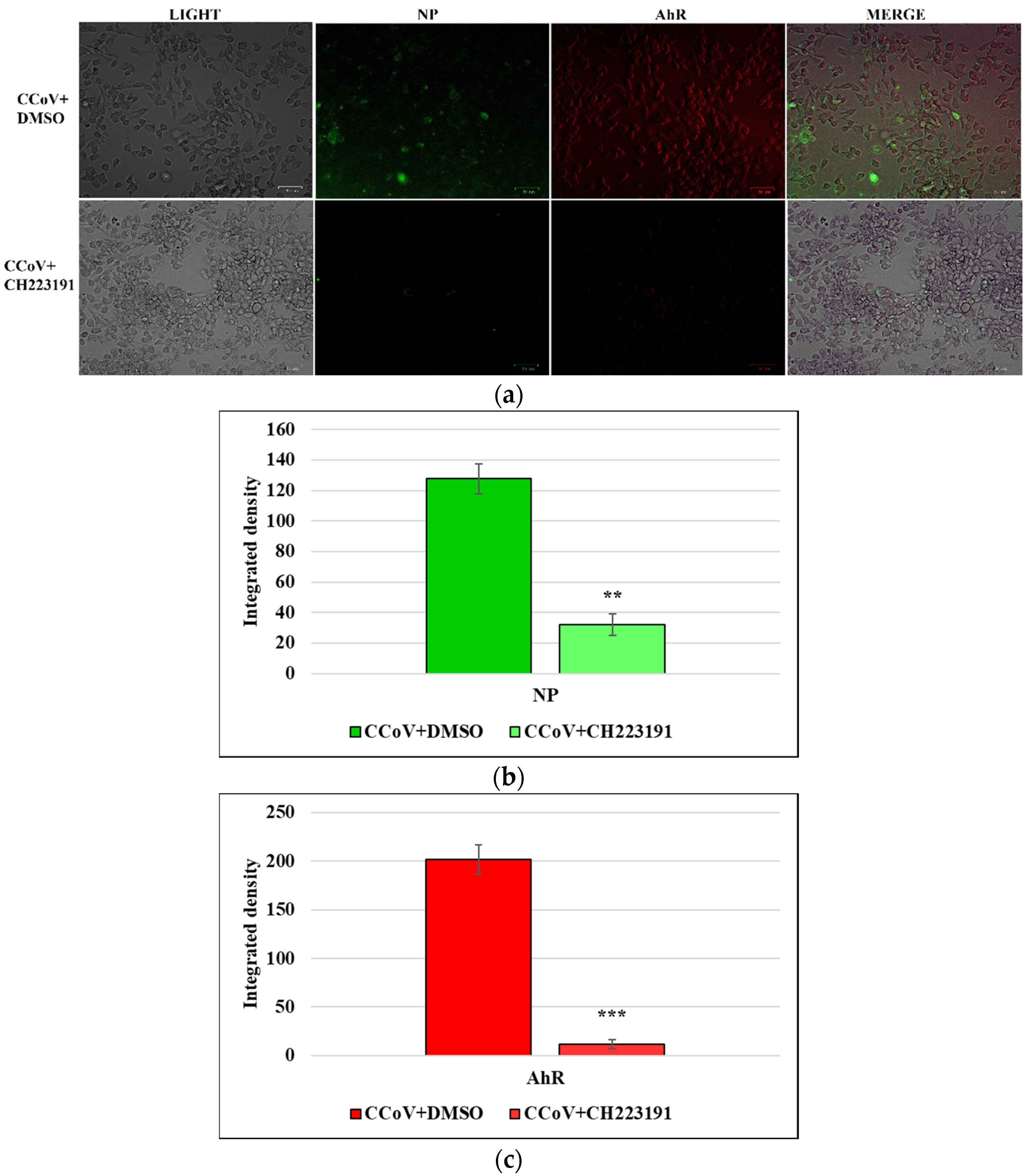 Viruses 14 02437 g006