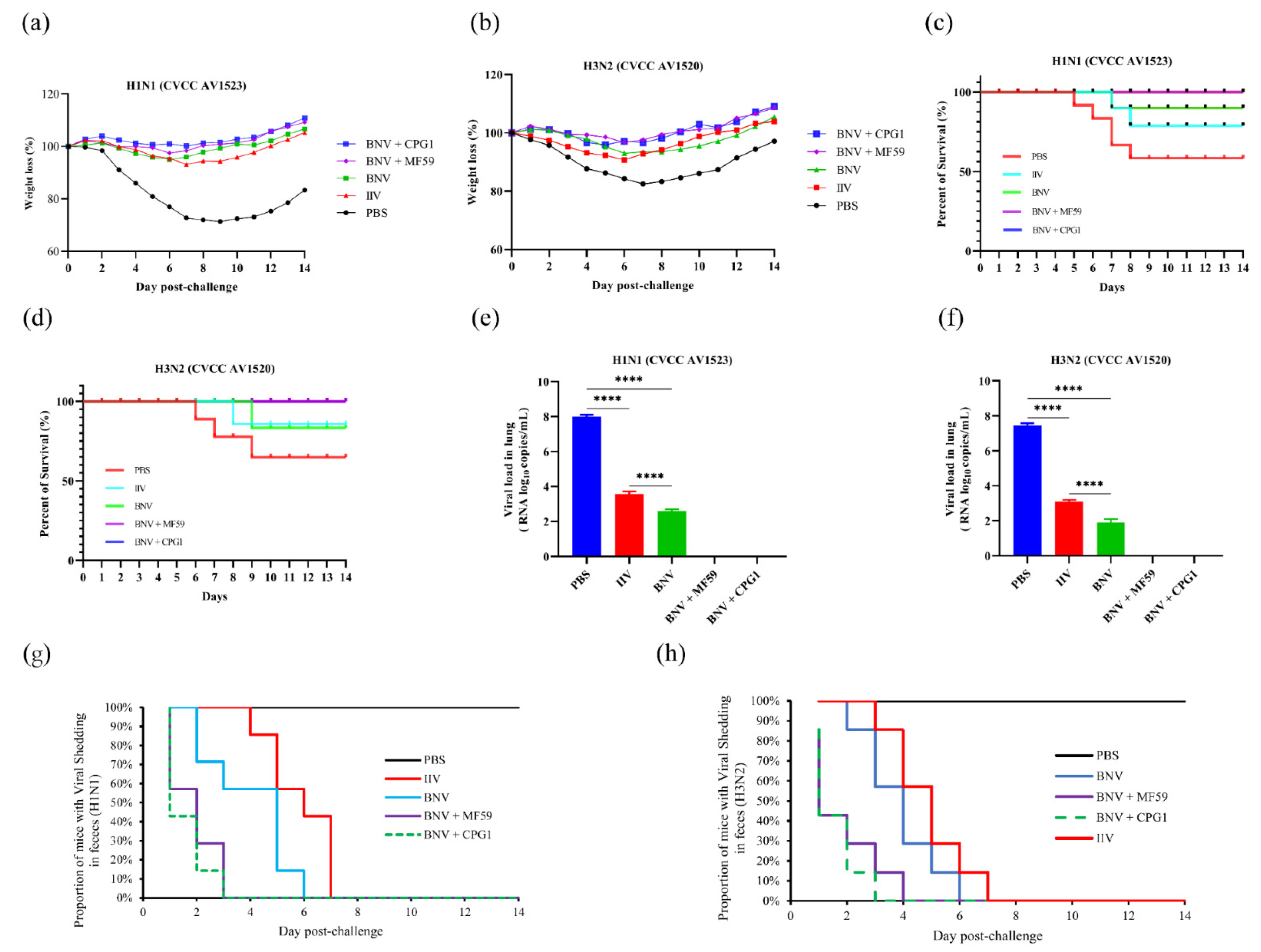 Viruses 14 02443 g005 Viruses 14 02443 g005