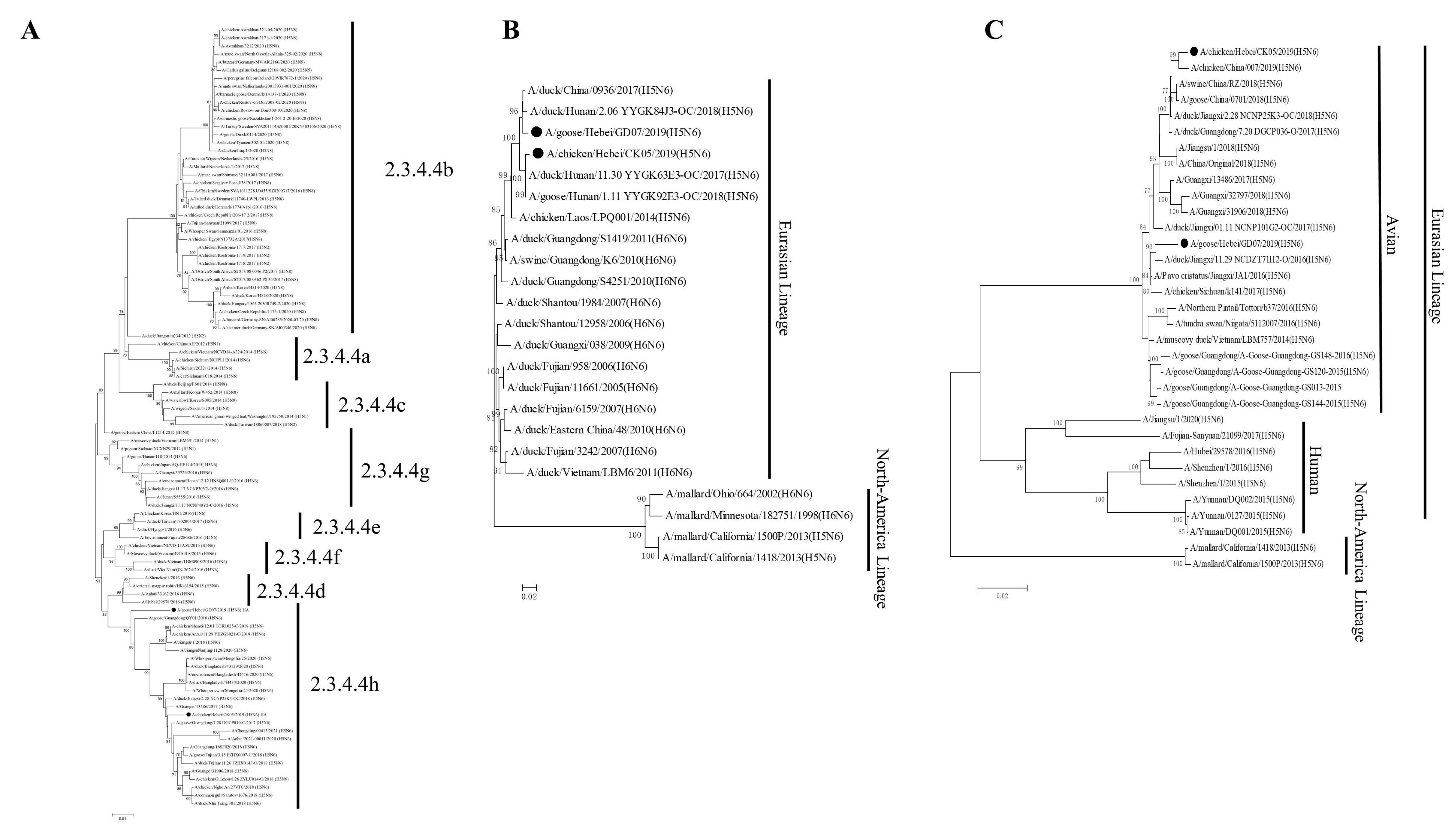 Viruses 14 02454 g001 Viruses 14 02454 g001