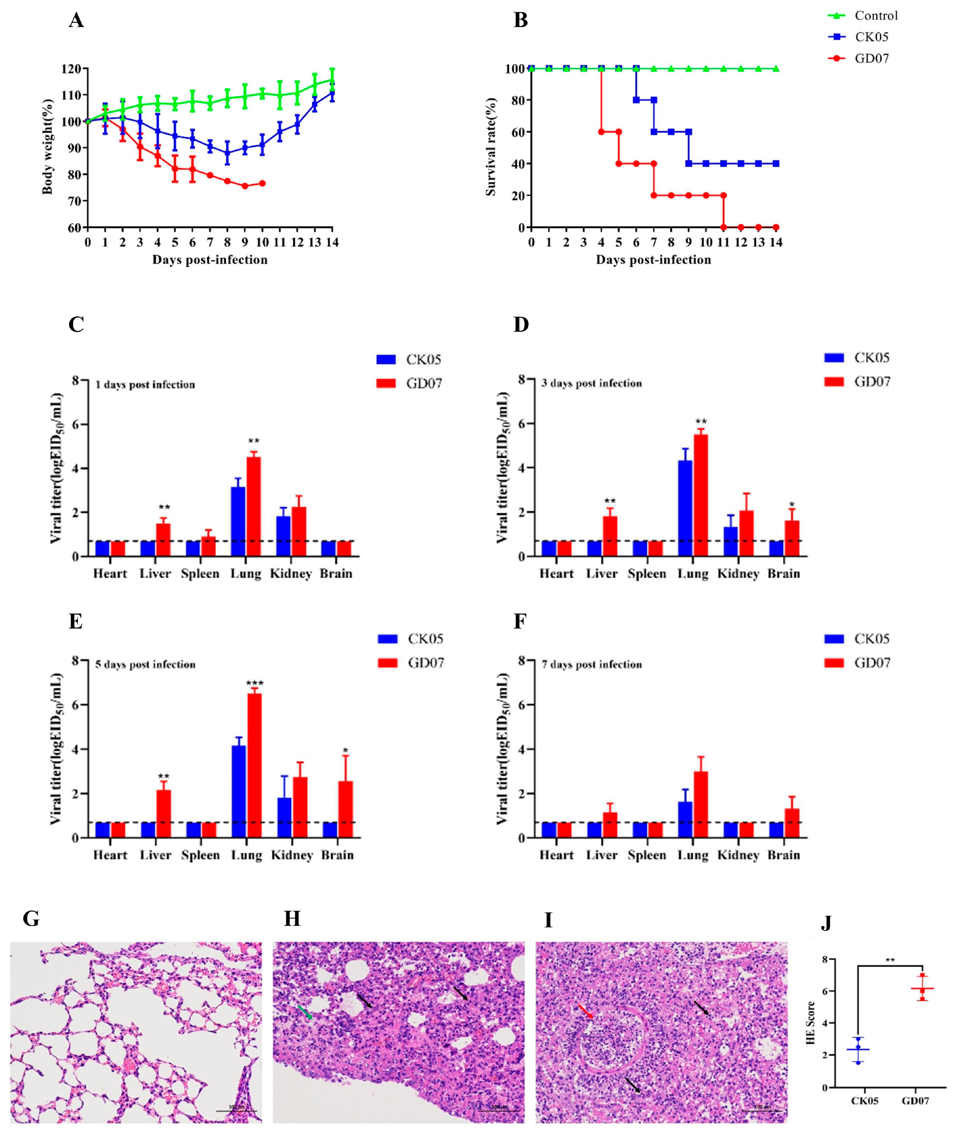 Viruses 14 02454 g004 Viruses 14 02454 g004