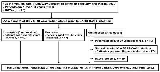 Viruses | Free Full-Text | Effect of Previous COVID-19 Vaccination on  Humoral Immunity 3 Months after SARS-CoV-2 Omicron Infection and Booster  Effect of a Fourth COVID-19 Vaccination 2 Months after SARS-CoV-2 Omicron