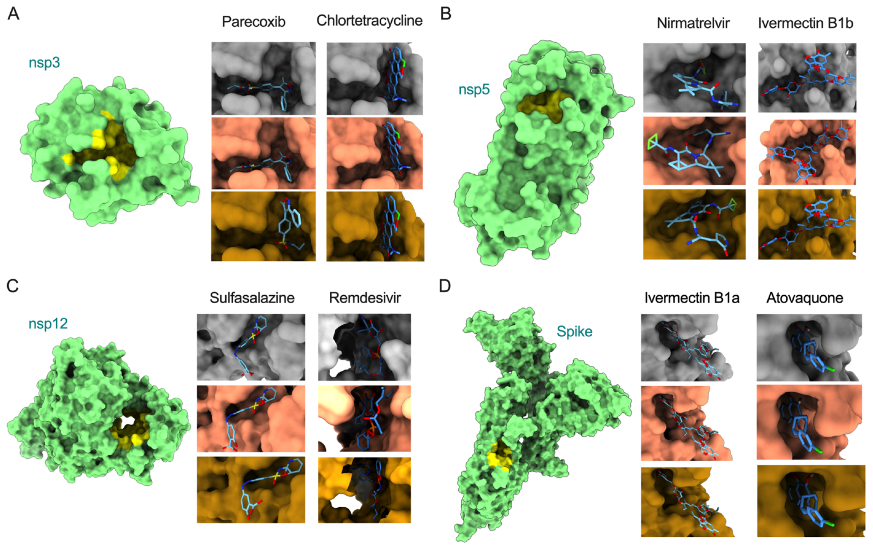 Viruses 14 02461 g003