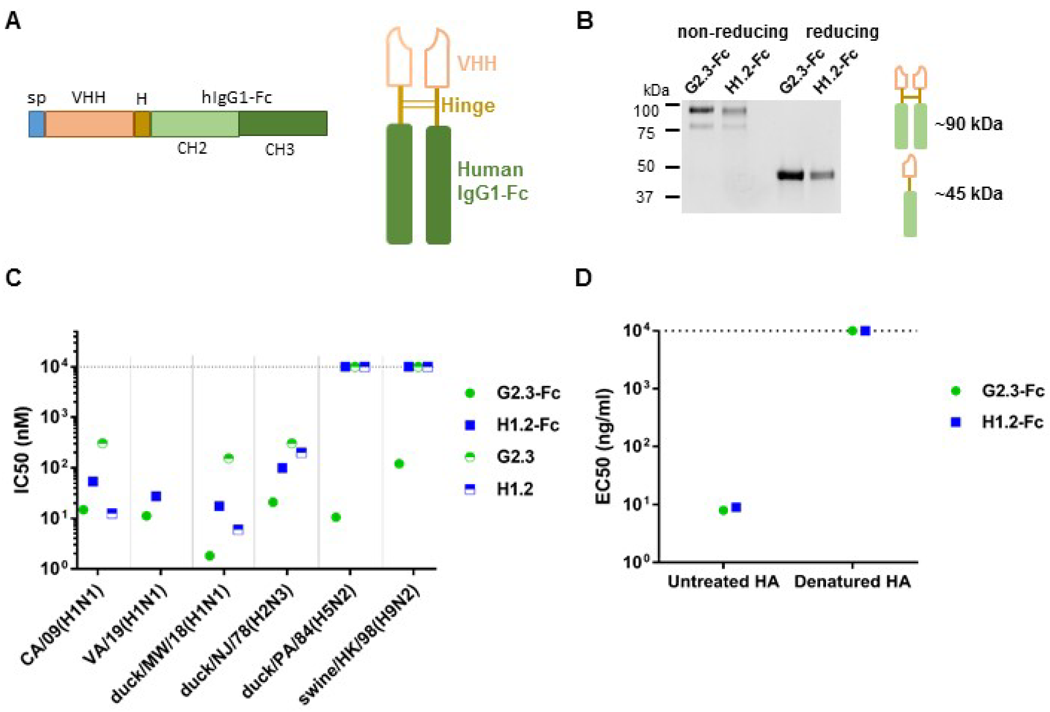 Viruses 14 02485 g001