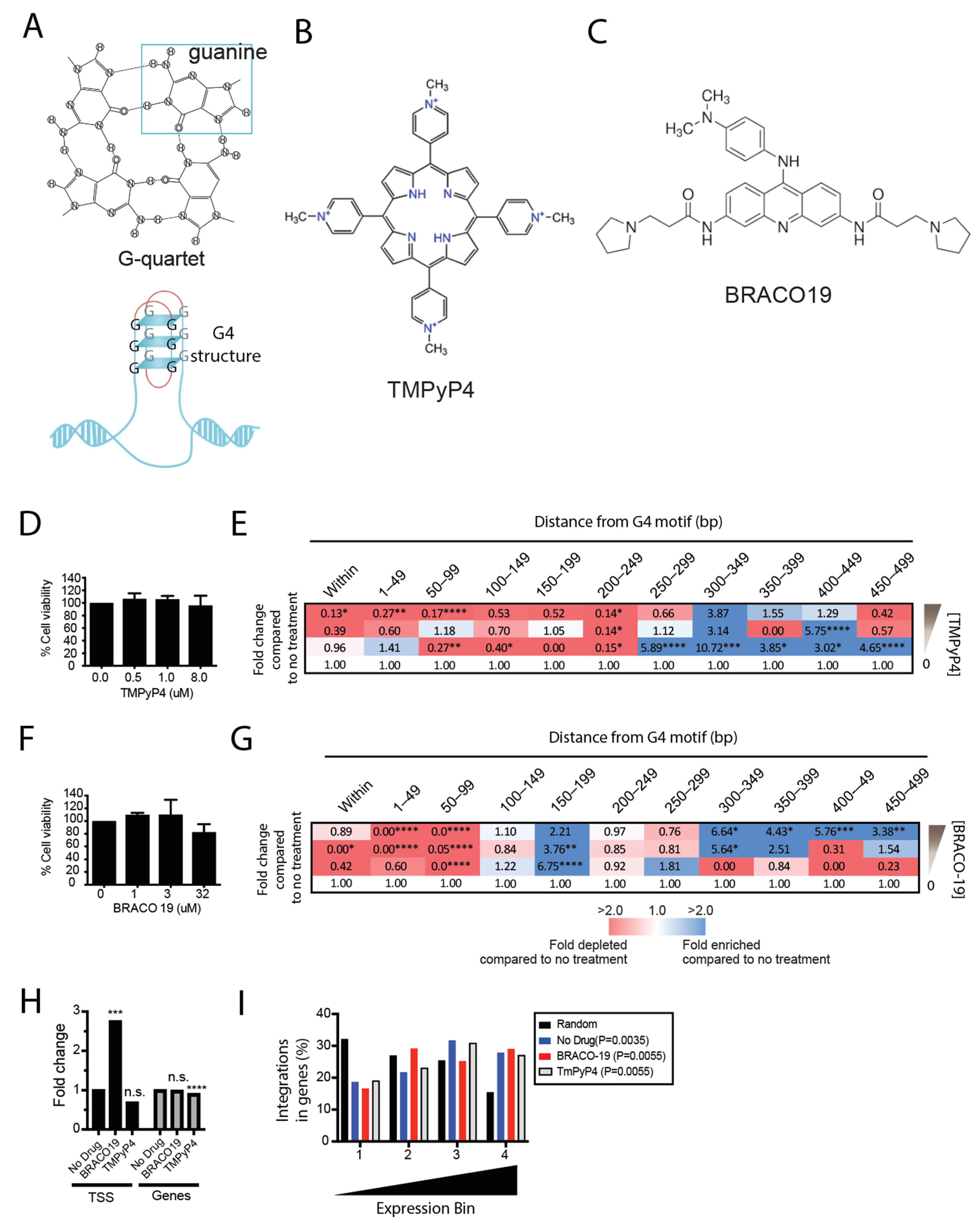 Viruses 14 02494 g002