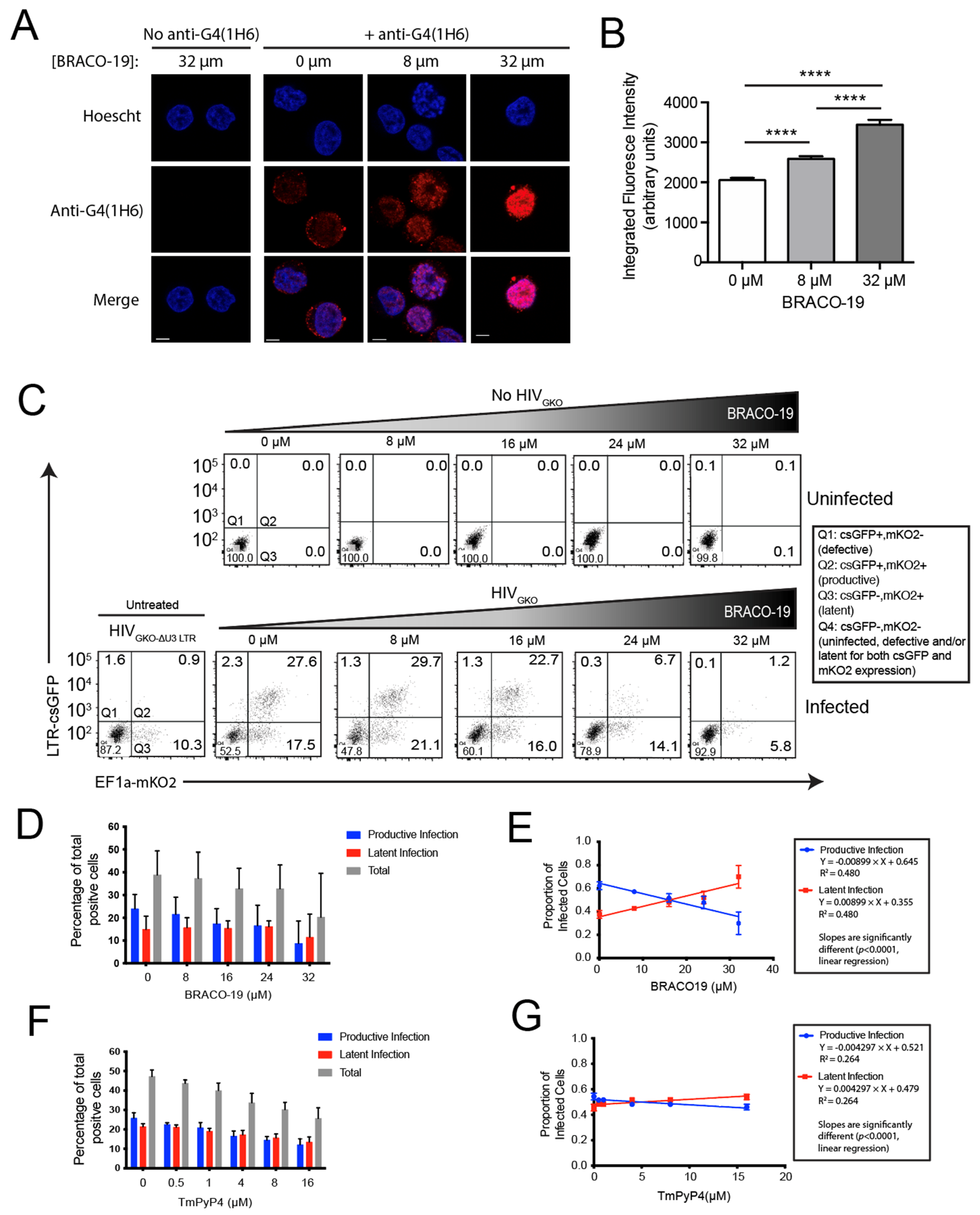 Viruses 14 02494 g004