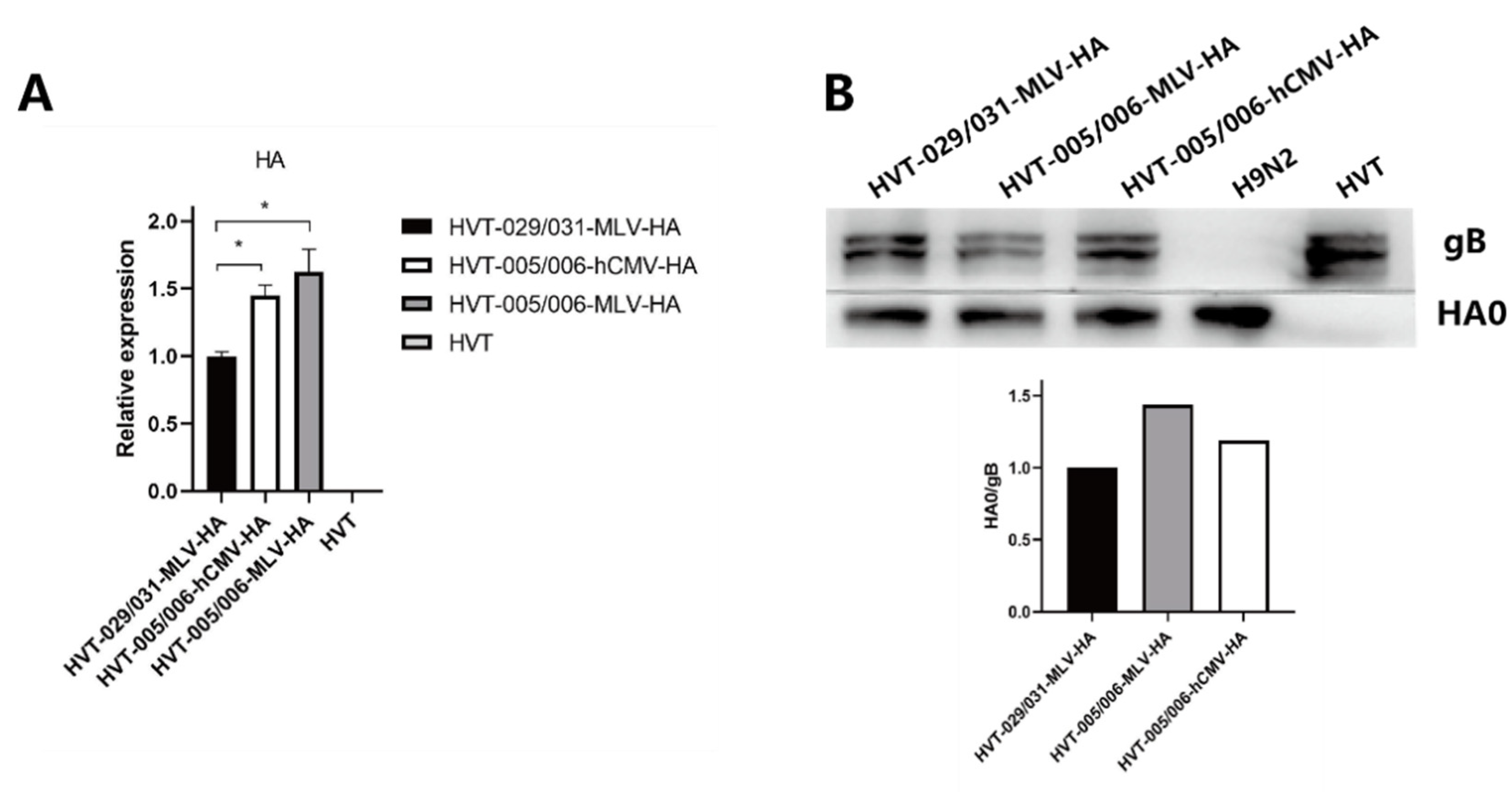 Viruses 14 02495 g003