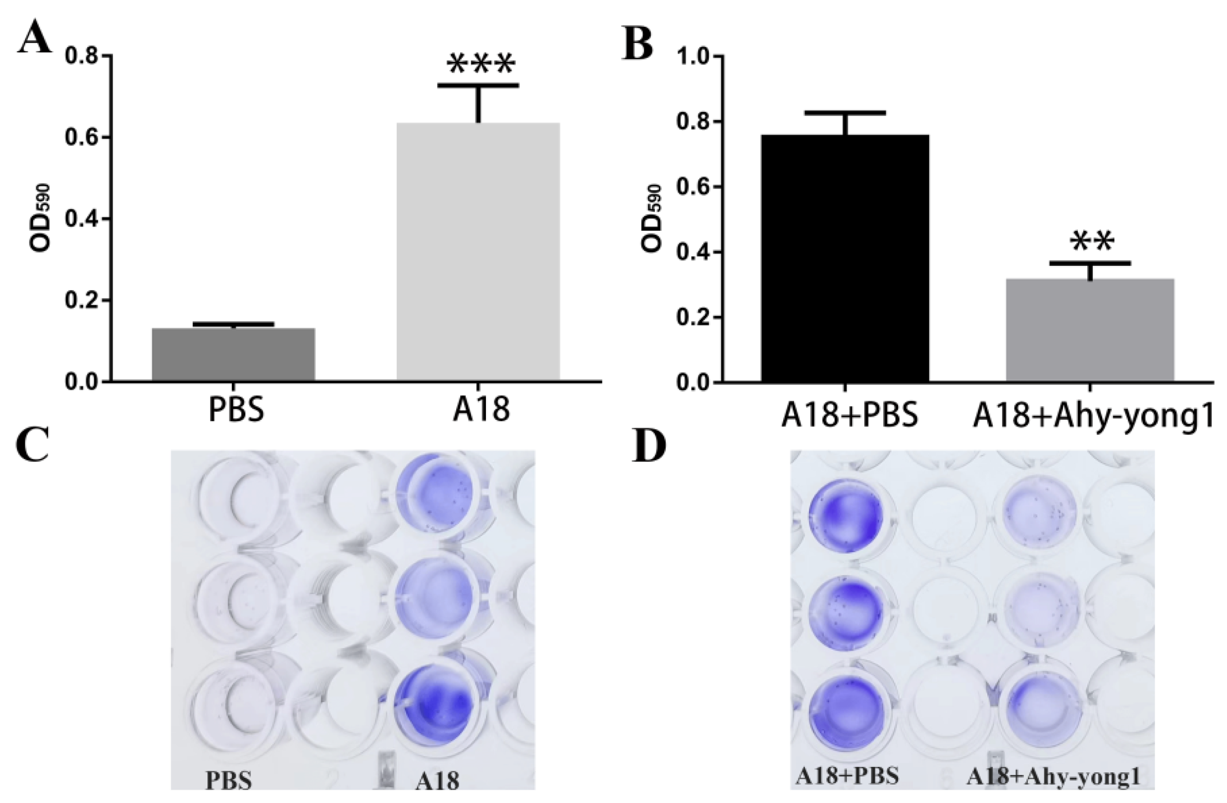 Viruses 14 02498 g004