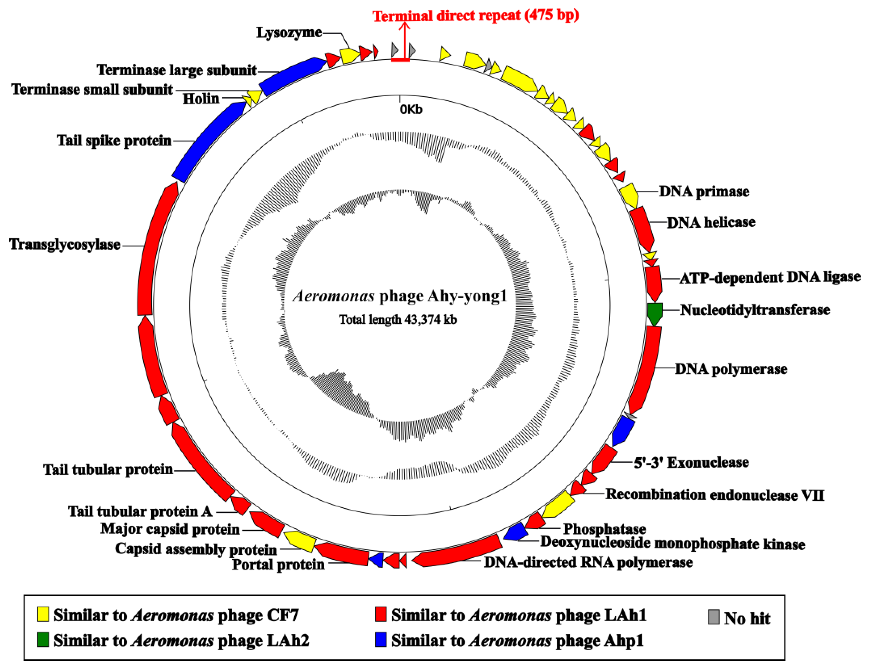 Viruses 14 02498 g005