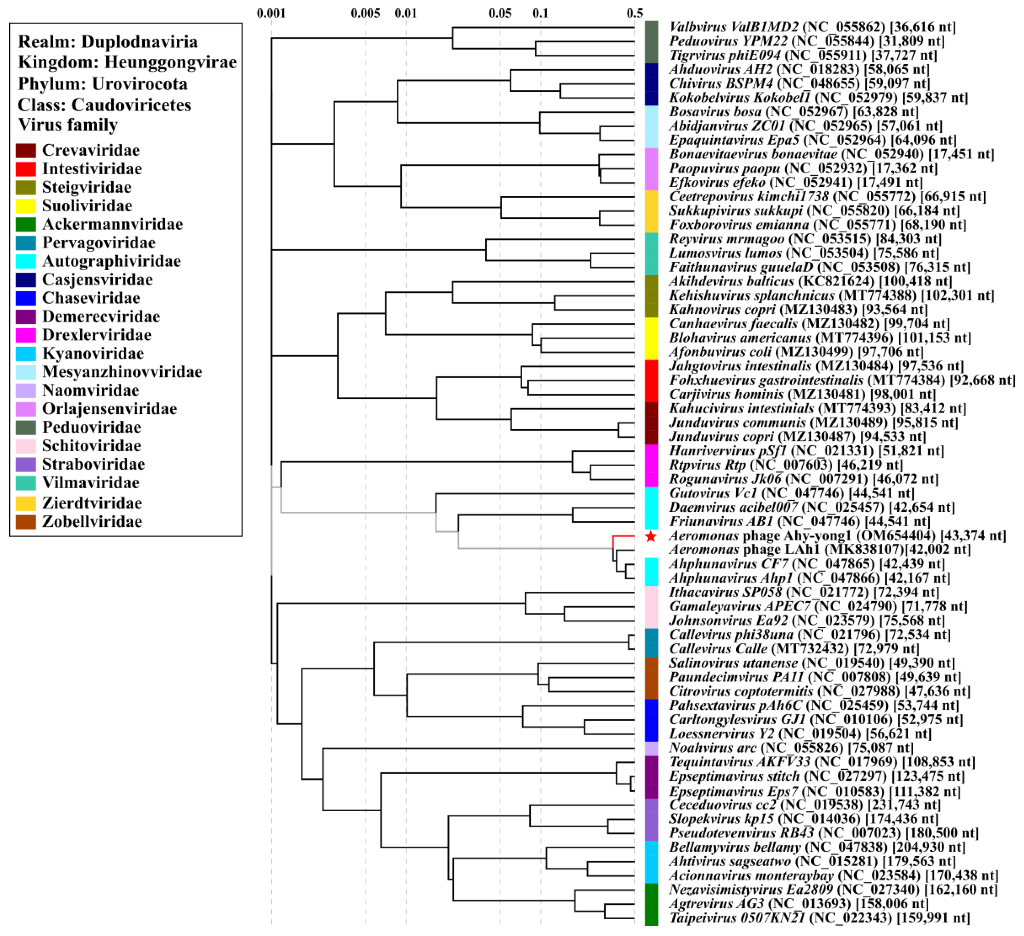 Viruses 14 02498 g007