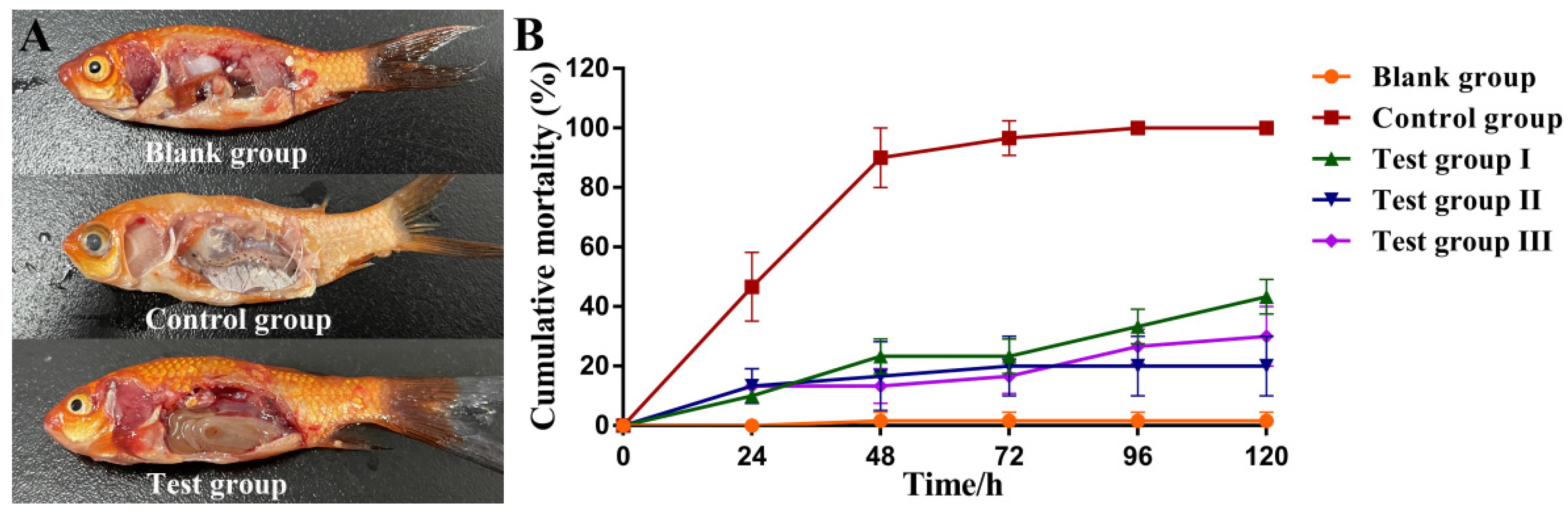 Viruses | Free Full-Text | Novel Aeromonas Phage Ahy-Yong1 and Its