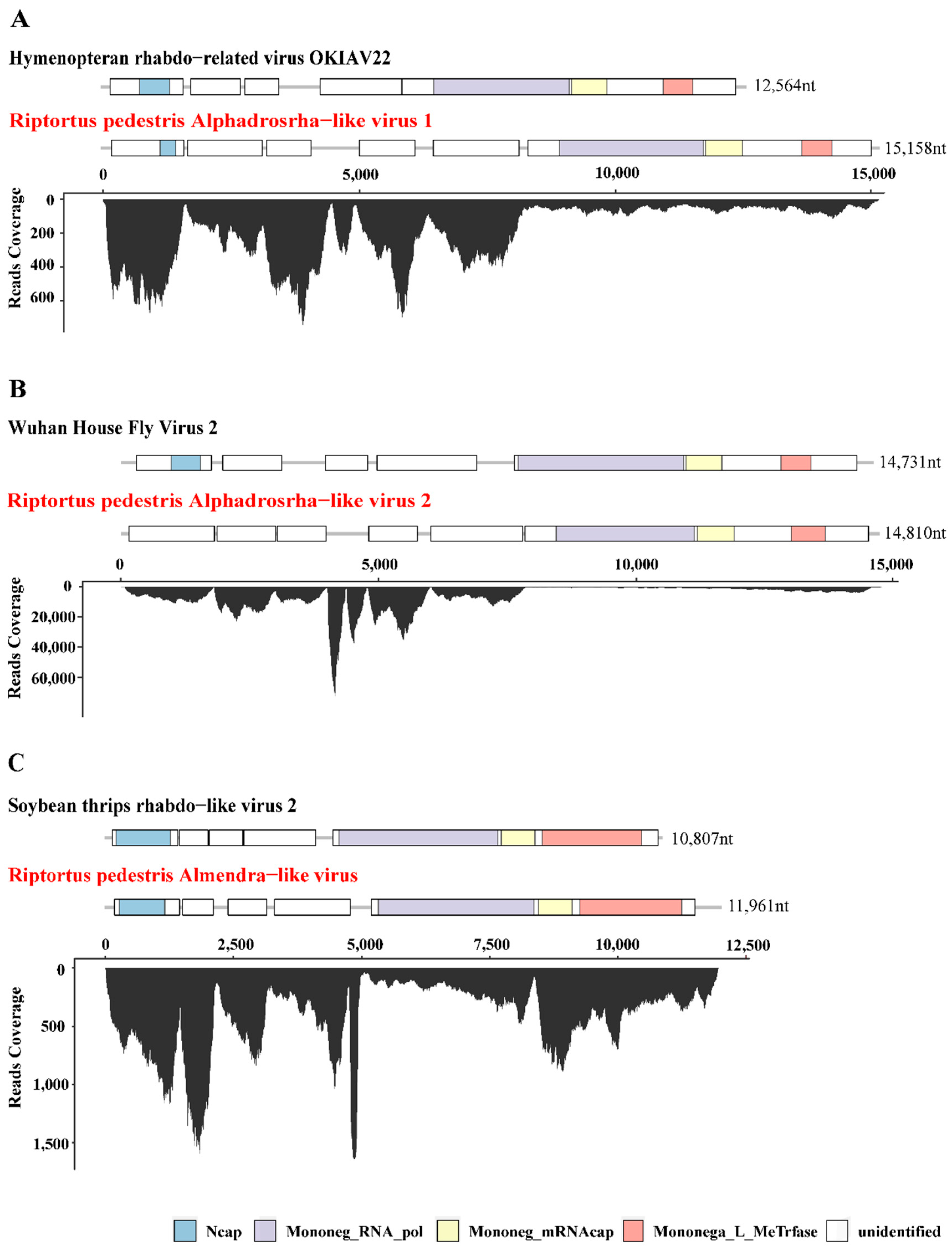 Viruses 14 02500 g001