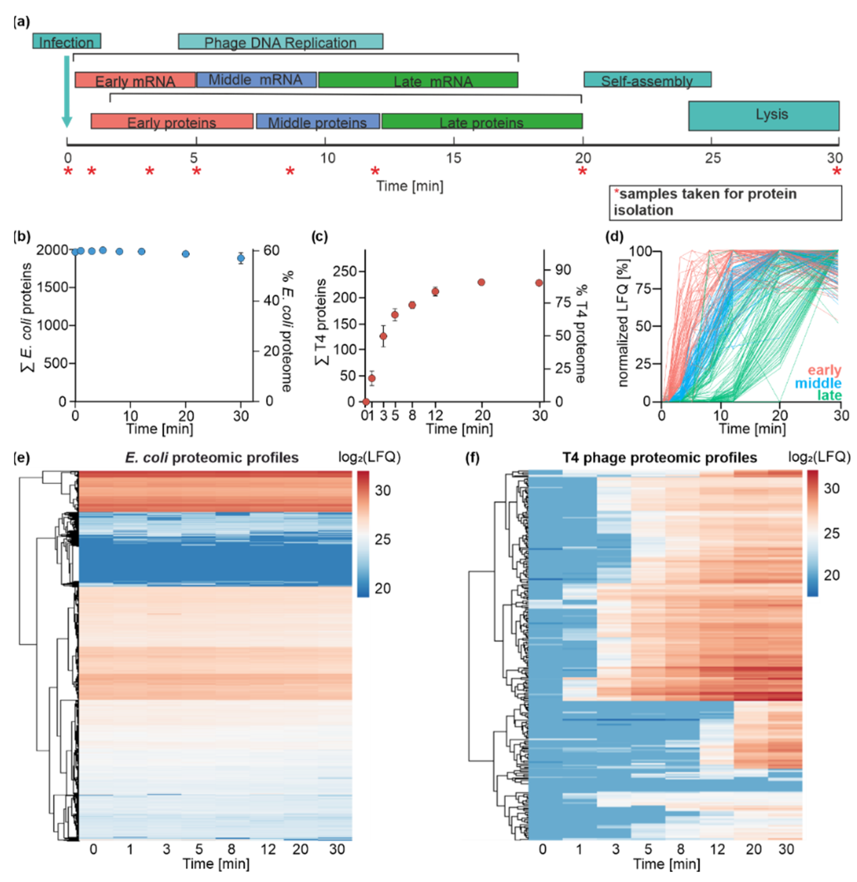 Viruses 14 02502 g003