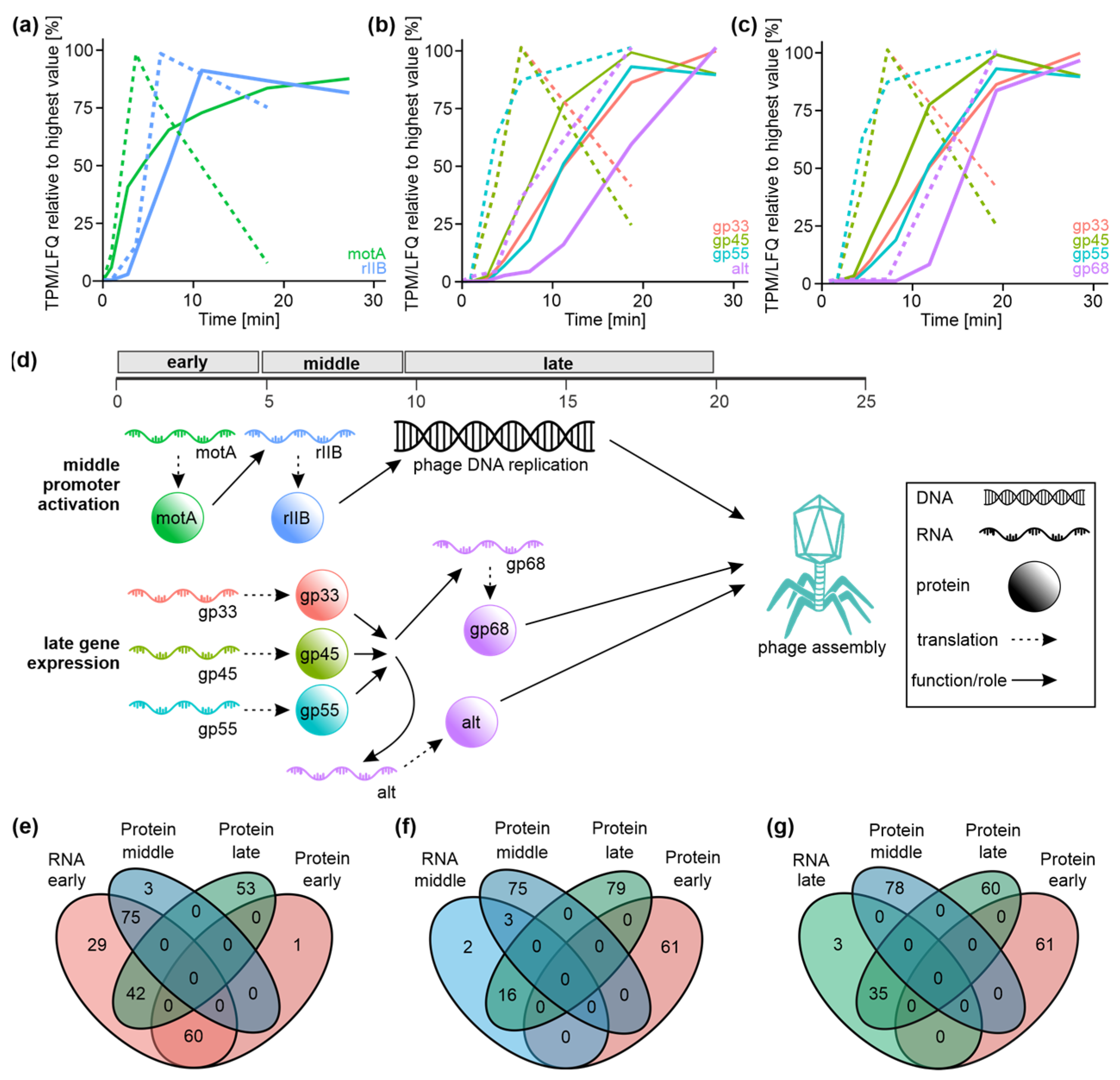 Viruses 14 02502 g004
