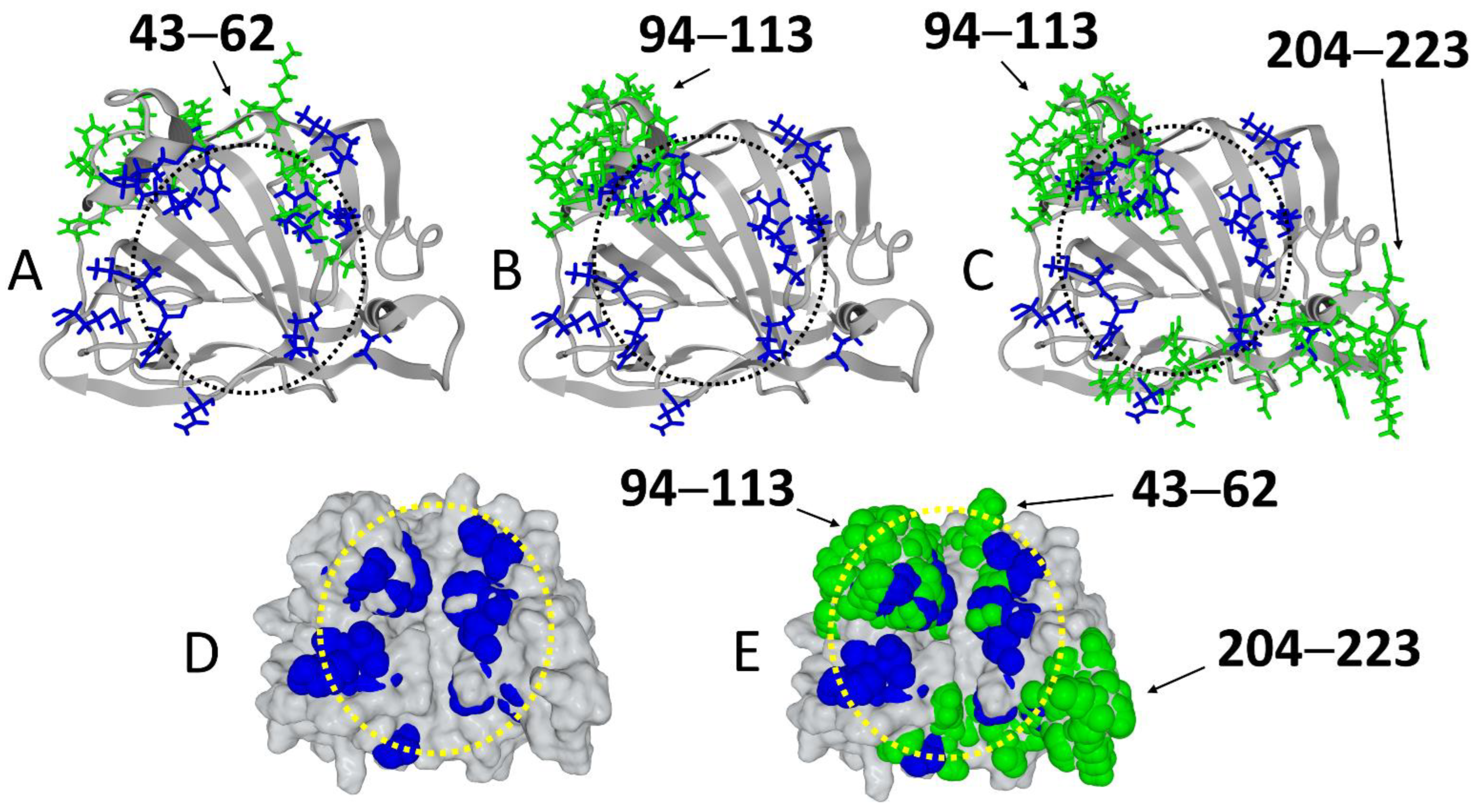 Viruses 14 02531 g003 Viruses 14 02531 g003