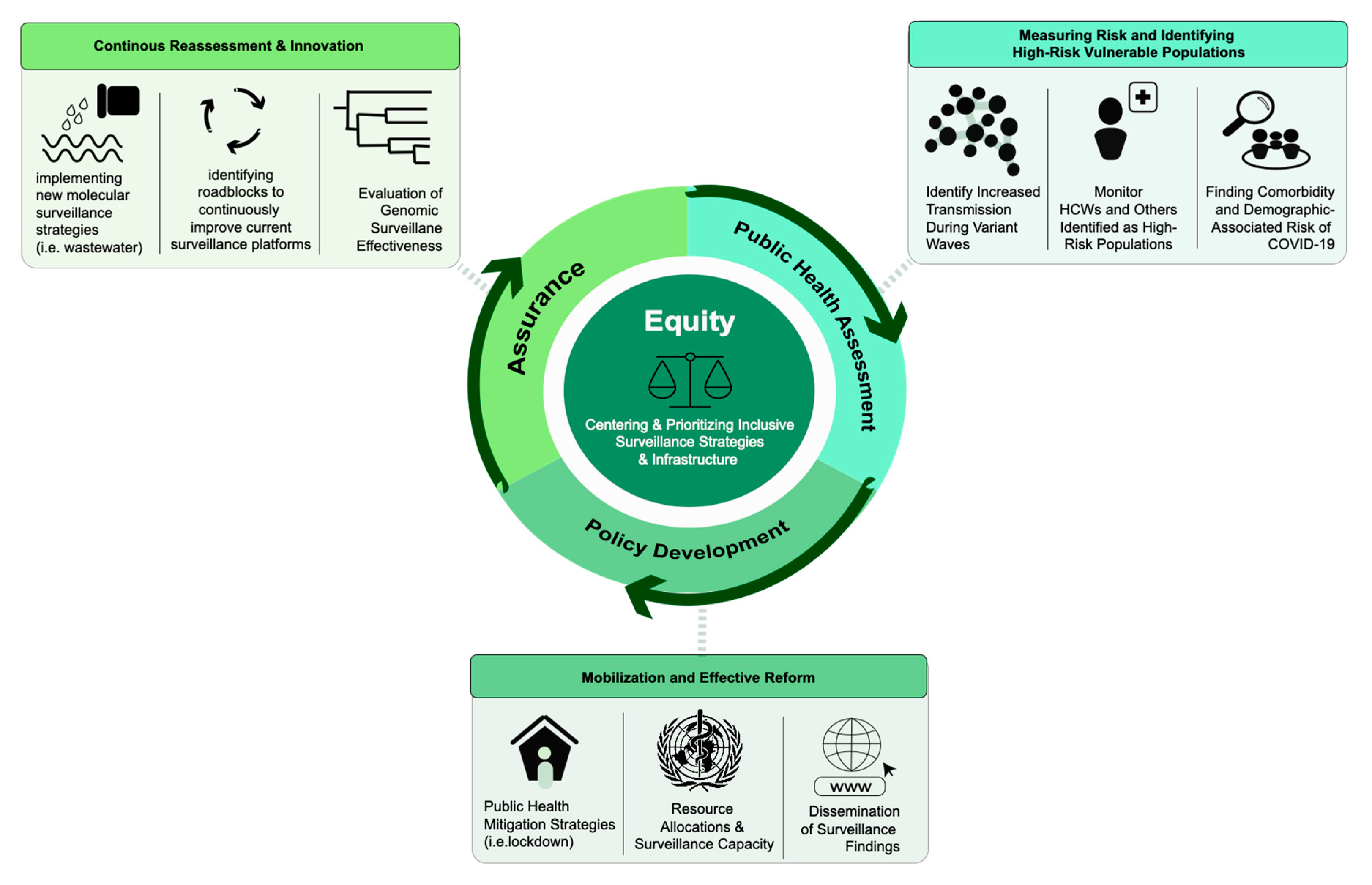 Viruses 14 02532 g004
