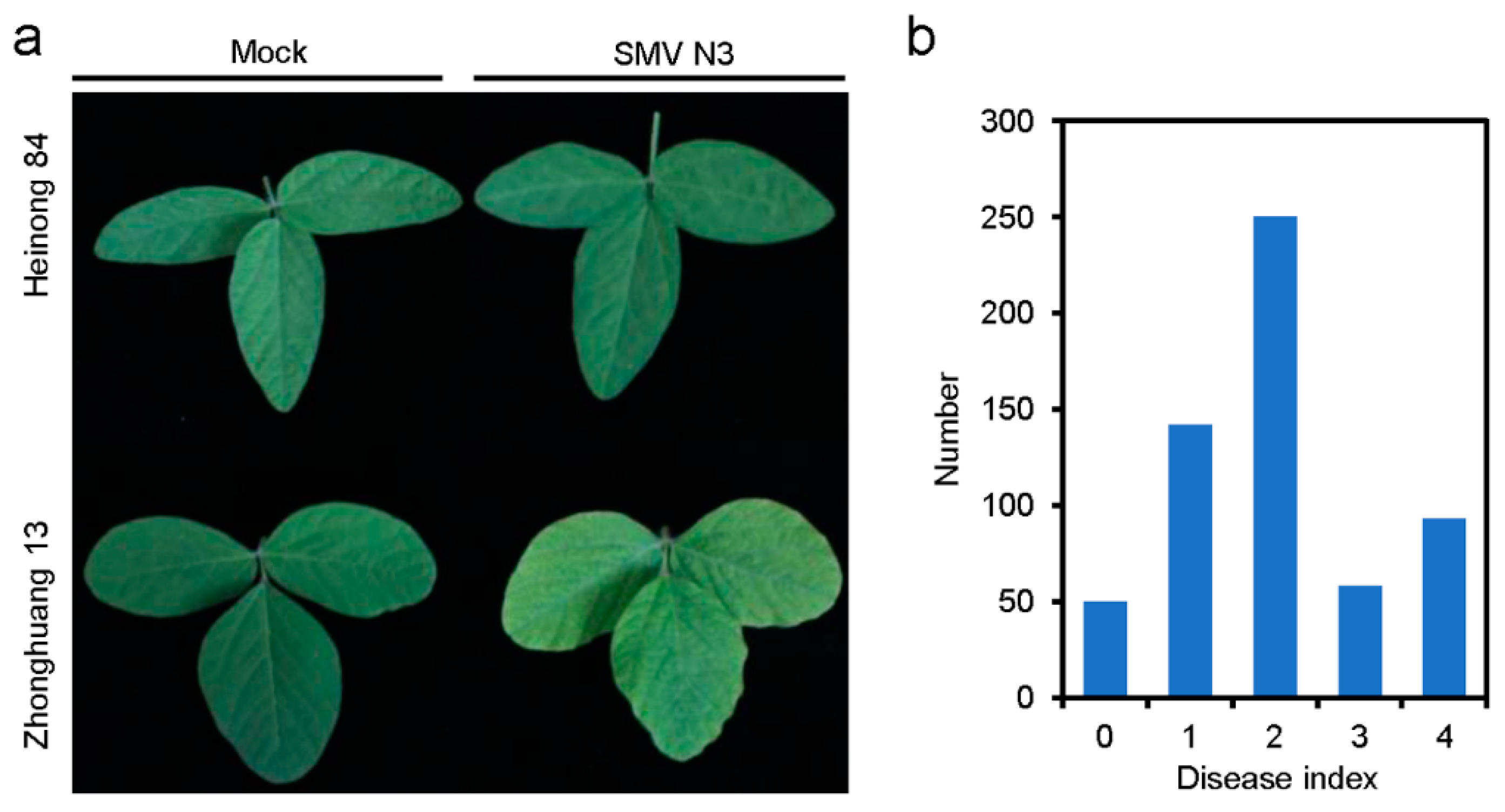 Viruses 14 02533 g001