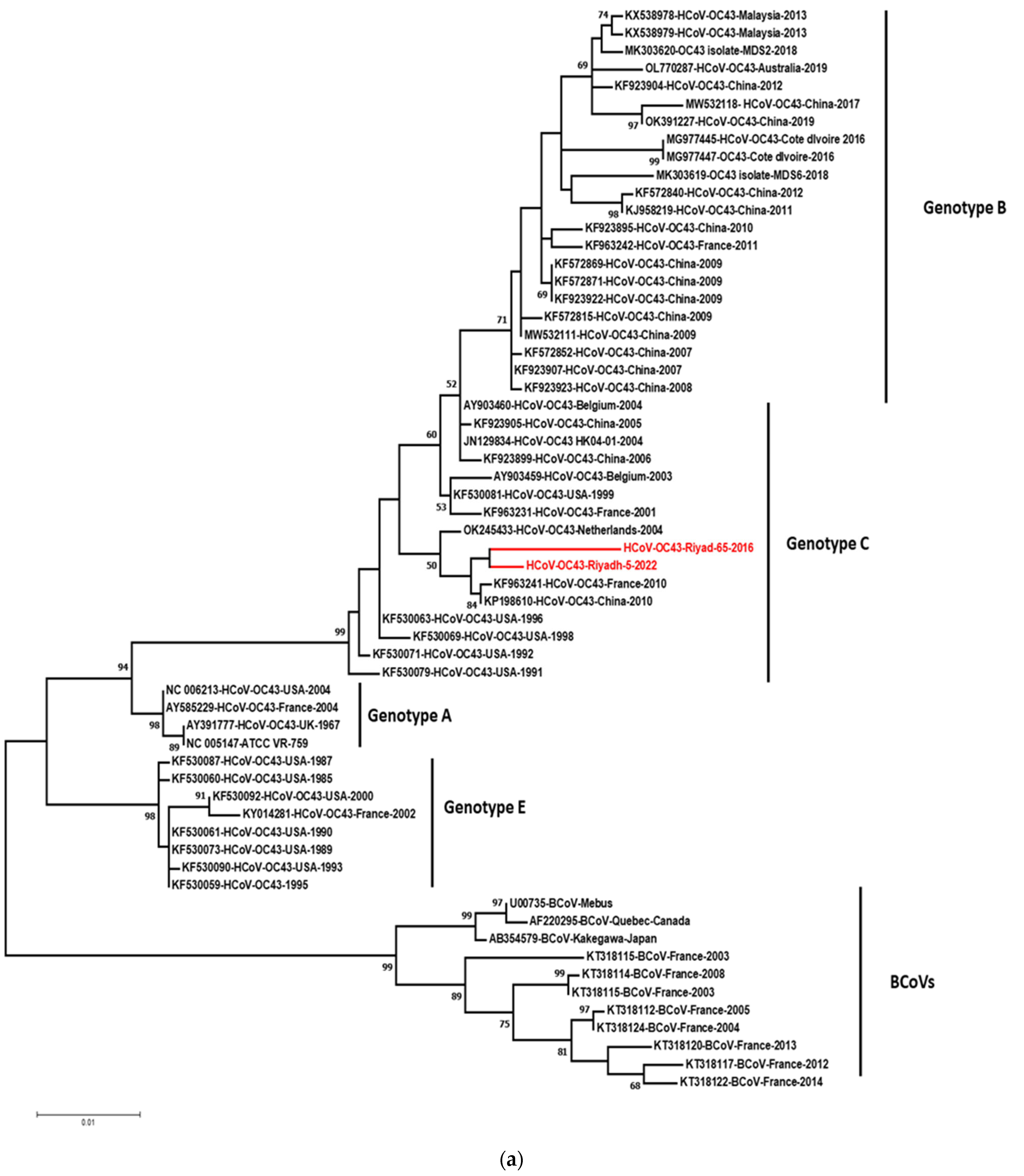 Viruses 14 02592 g002a Viruses 14 02592 g002a