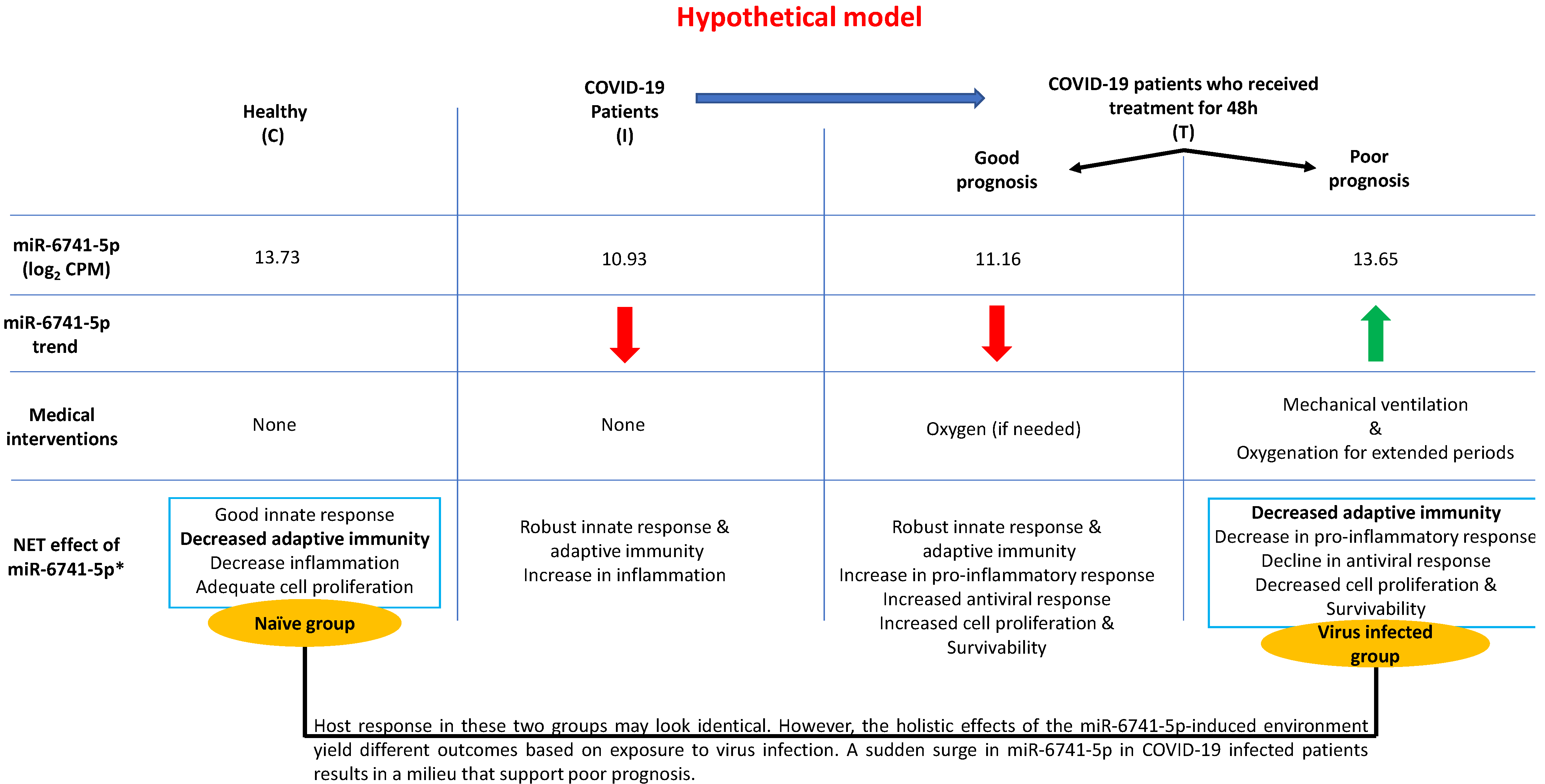 Viruses 14 02681 g004 Viruses 14 02681 g004
